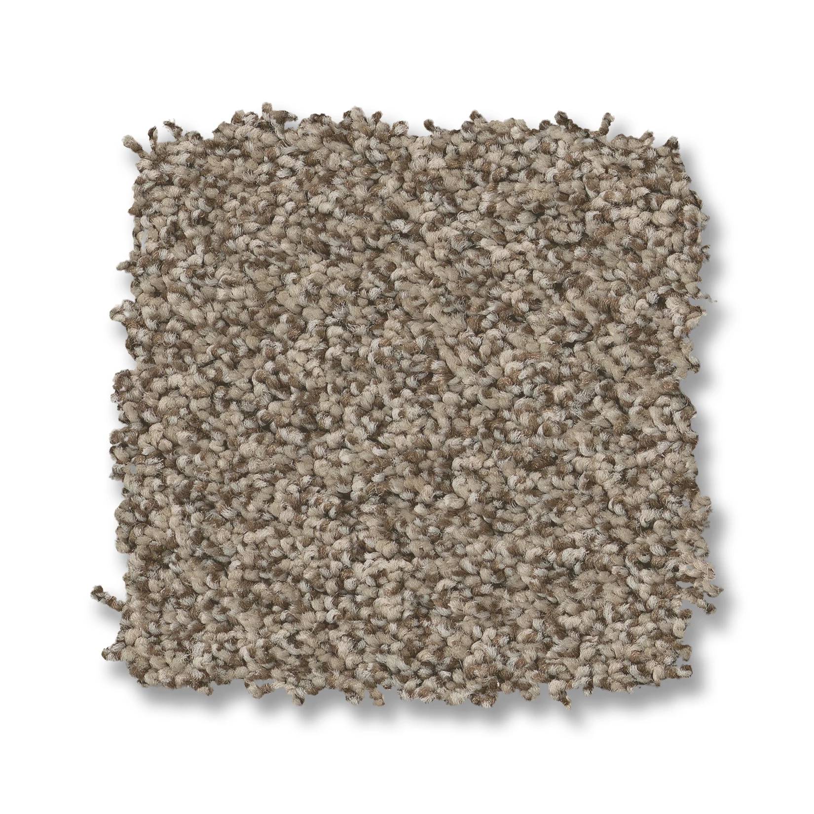 Avalon Bay Carpet - Chic Taupe Swatch Thumbnail pupop1