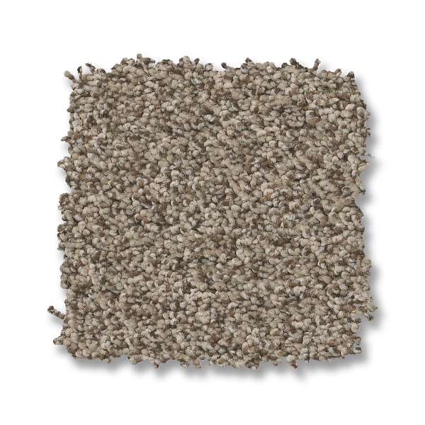 Style Avalon Bay Carpet - Chic Taupe Swatch