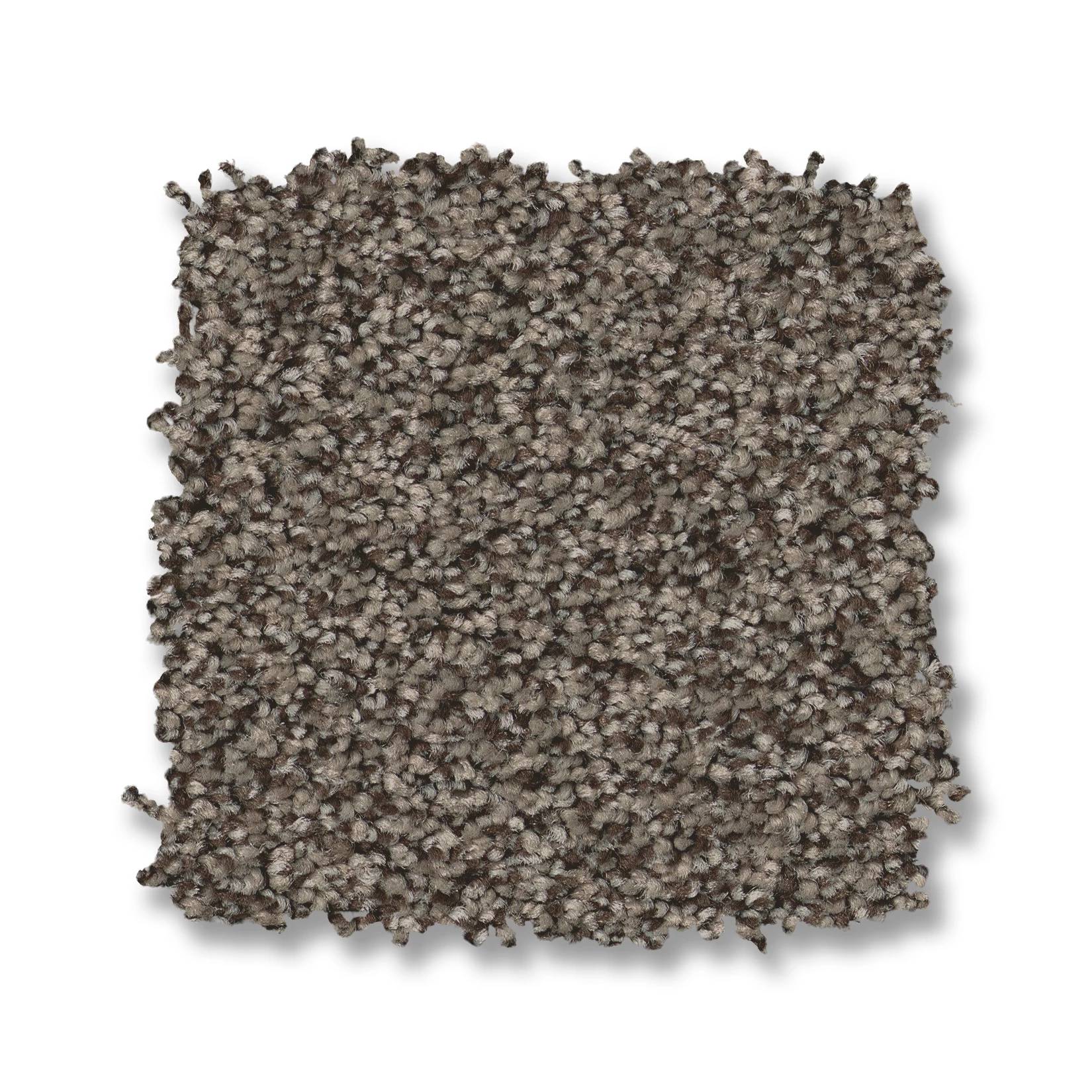 Avalon Bay Carpet - Sable Swatch Thumbnail pupop1