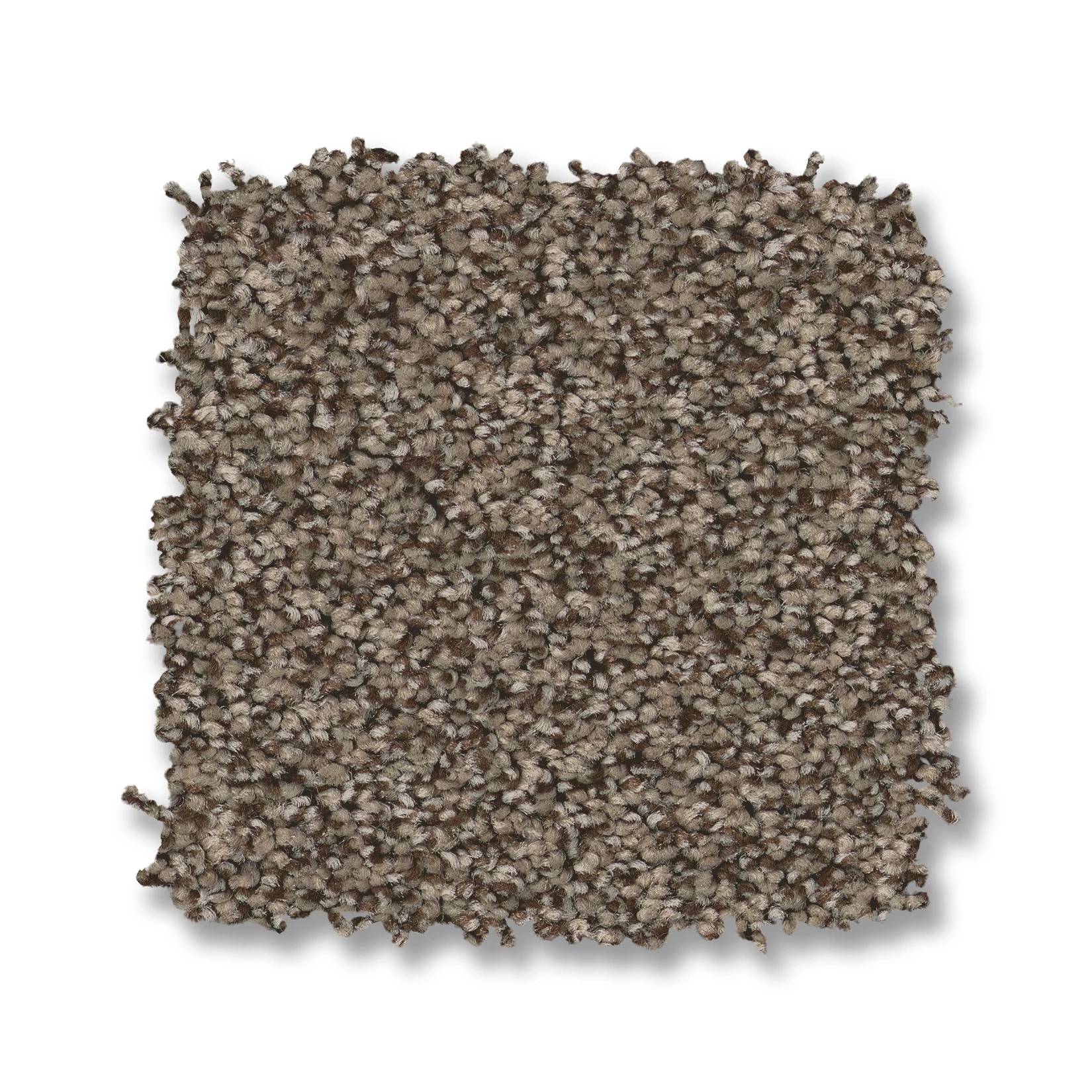 Avalon Bay Carpet - Smokehouse Swatch Thumbnail pupop1