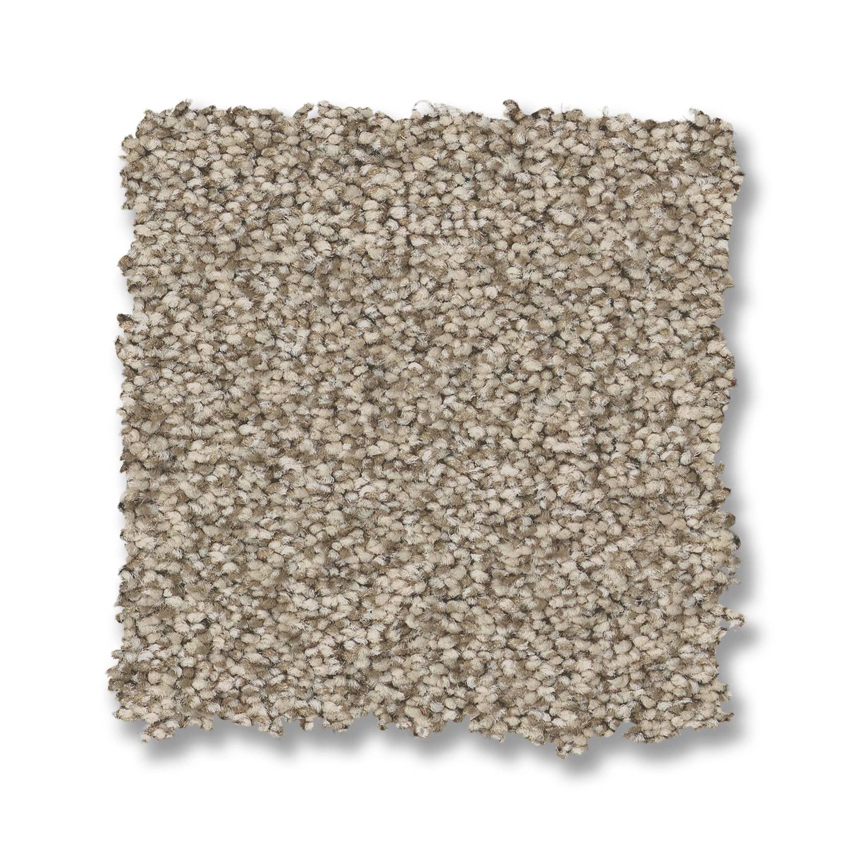 Somerset Carpet - White Mocha Swatch Thumbnail pupop1