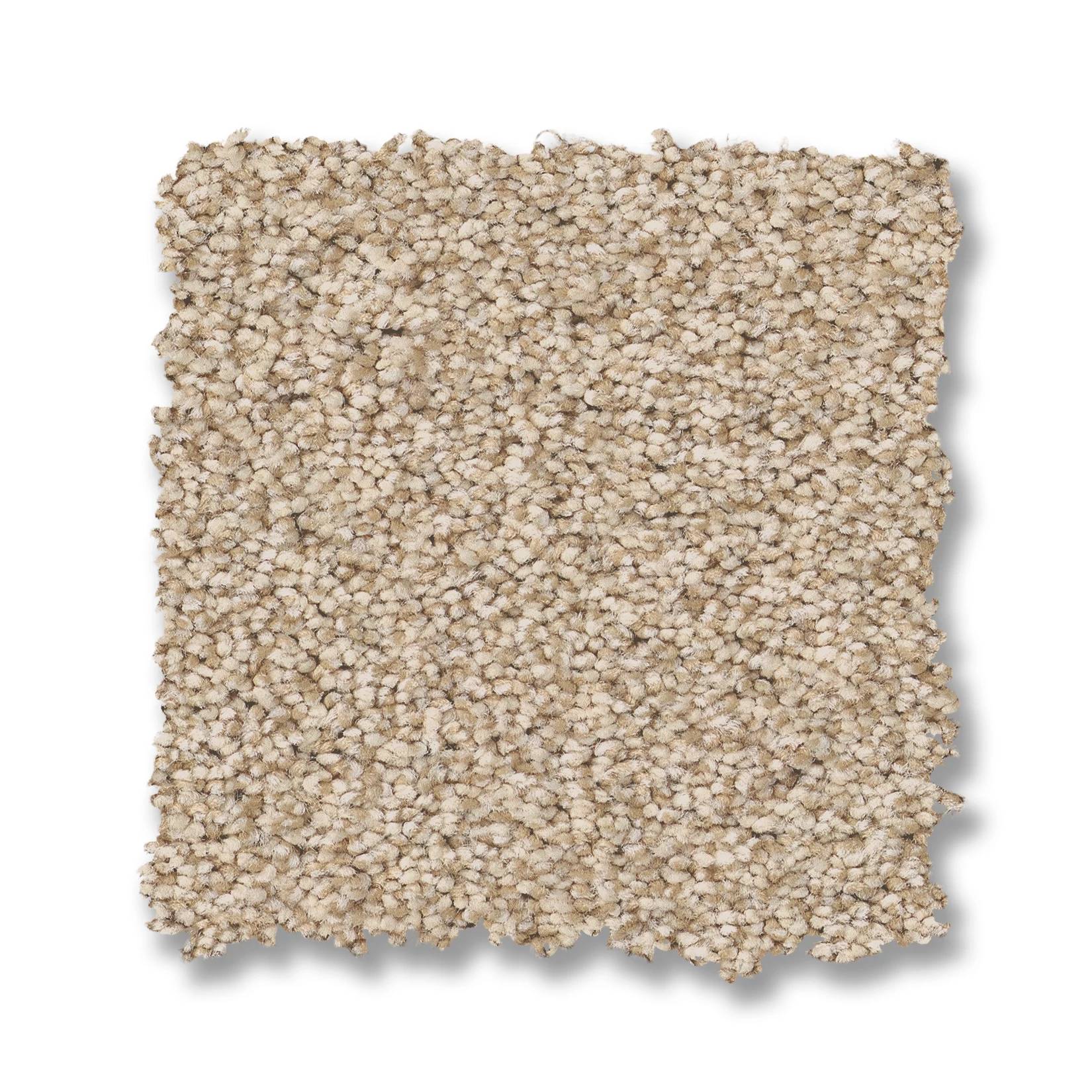 Somerset Carpet - Down Home Swatch Thumbnail pupop1