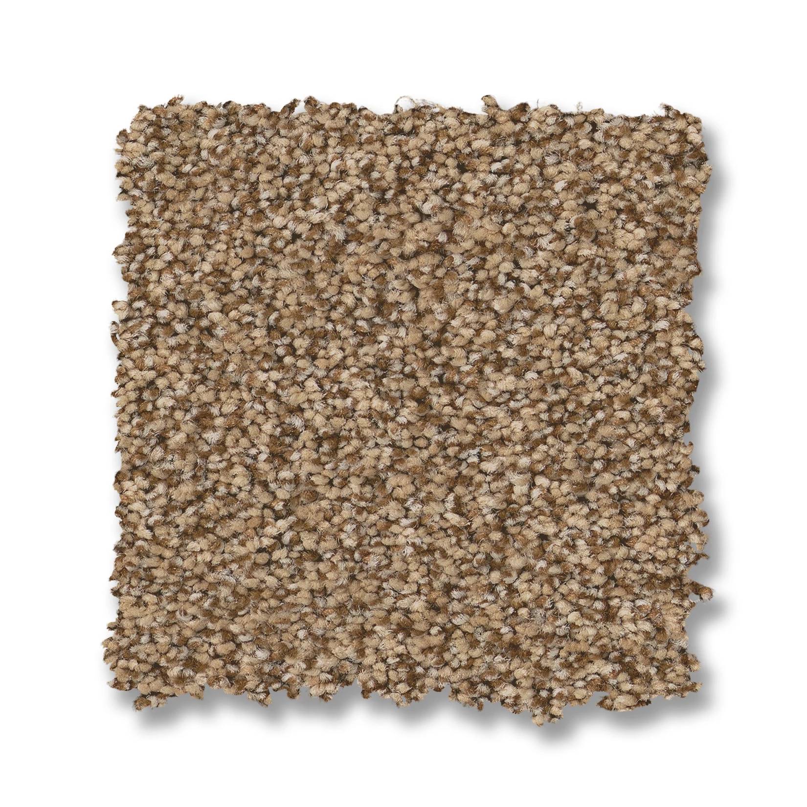 Somerset Carpet - Toasty Swatch Thumbnail pupop1