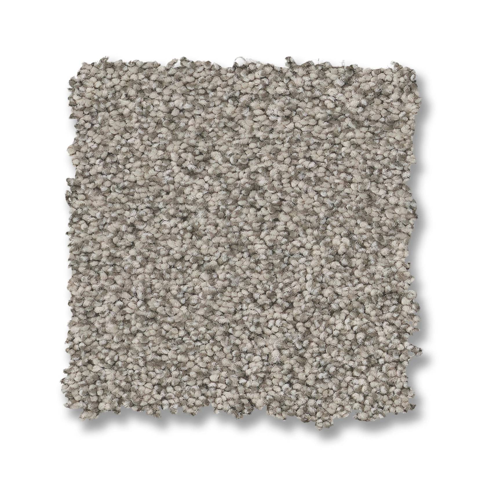 Somerset Carpet - Moth Gray Swatch Thumbnail pupop1