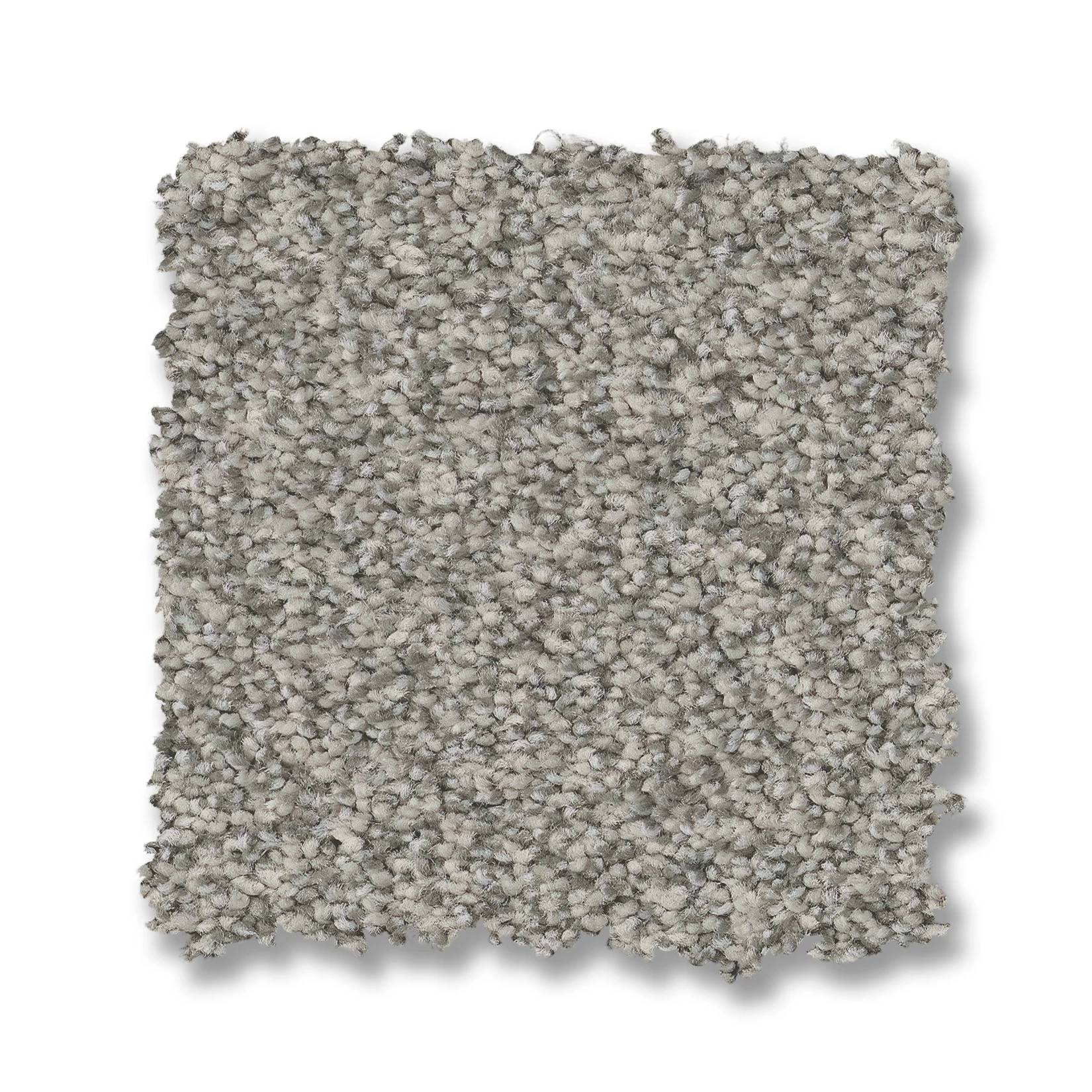 Somerset Carpet - Platinum Swatch Thumbnail pupop1