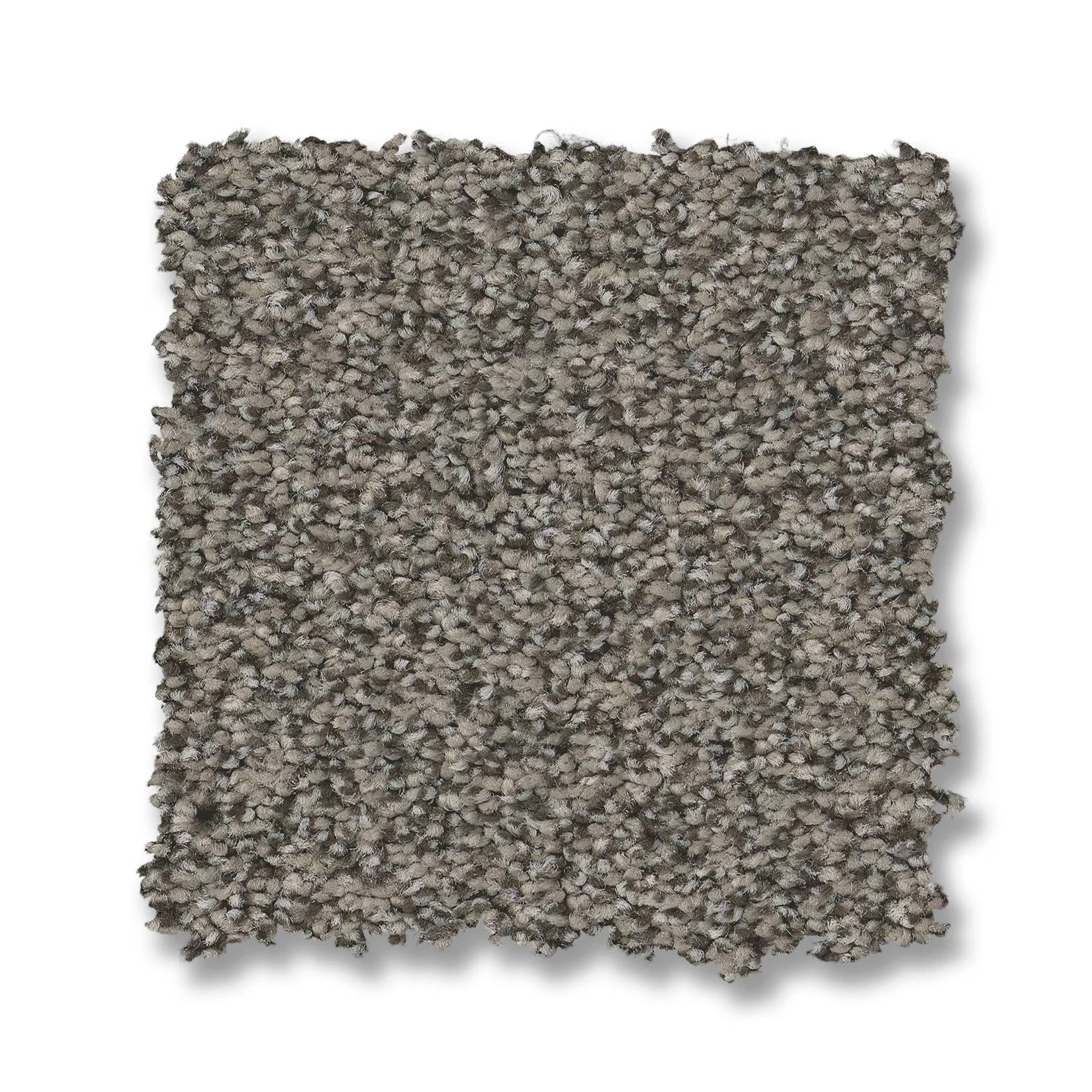 Somerset Carpet - Flannel Gray Swatch Thumbnail pupop1