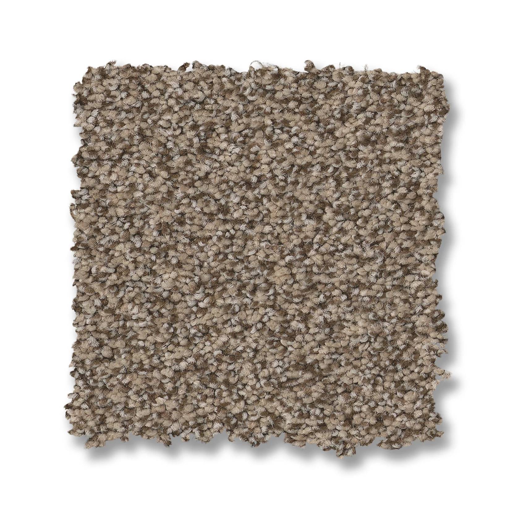 Somerset Carpet - Chic Taupe Swatch Thumbnail pupop1