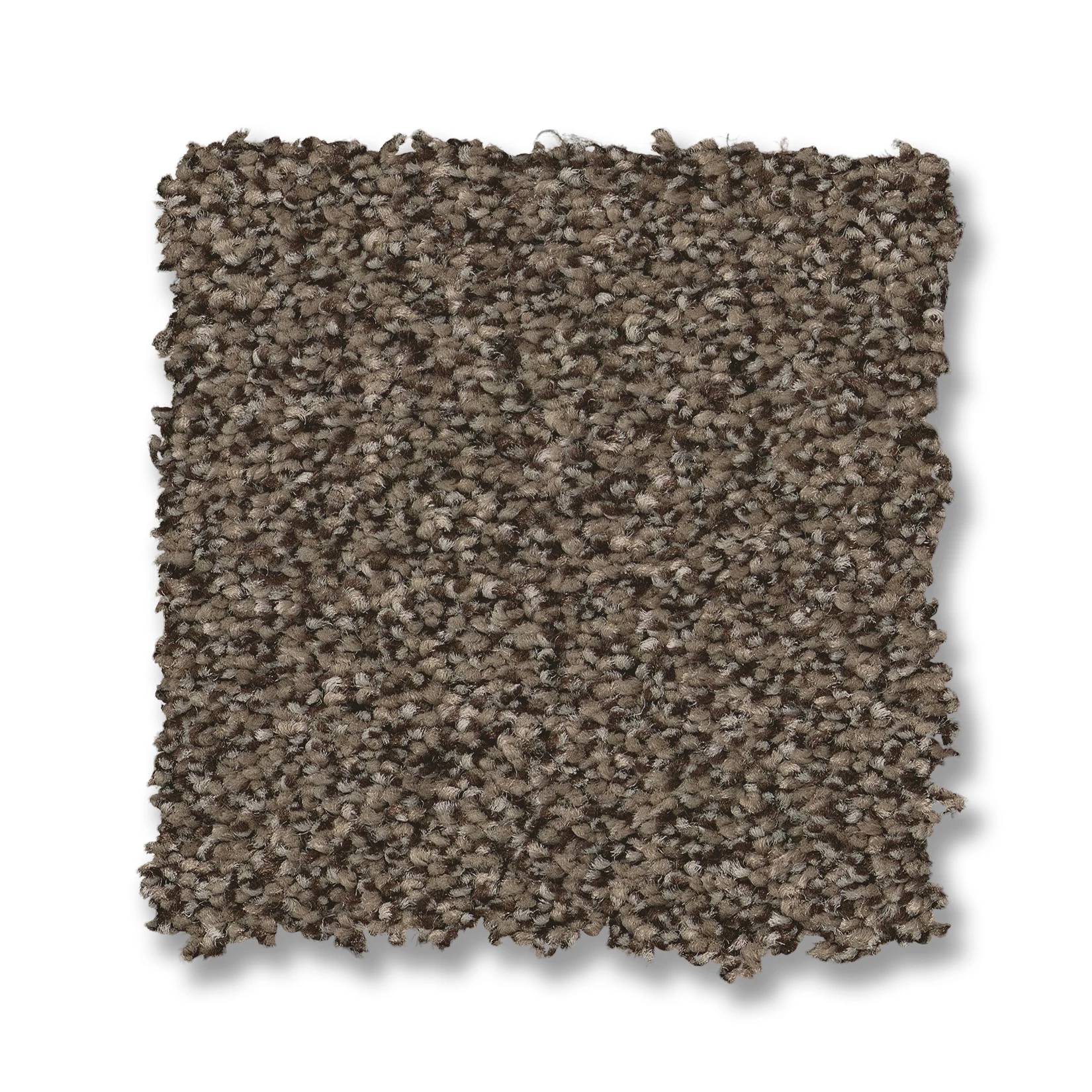 Somerset Carpet - Sable Swatch Thumbnail pupop1