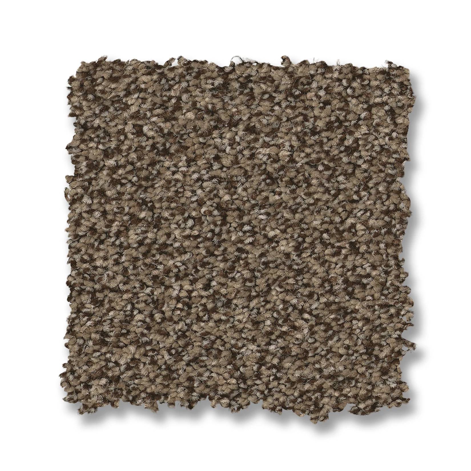 Somerset Carpet - Smokehouse Swatch Thumbnail pupop1