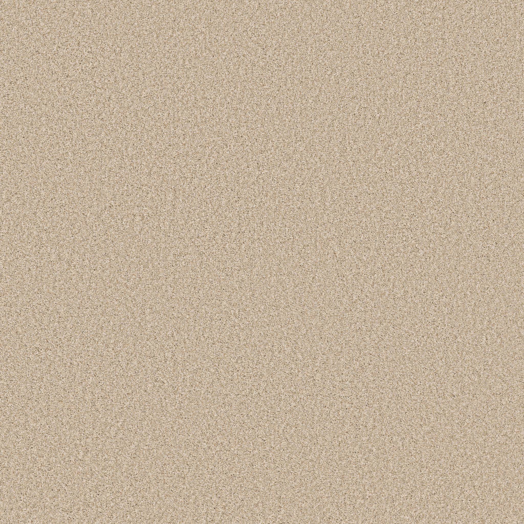 Fabulous Carpet - Risotto Zoomed Swatch Image