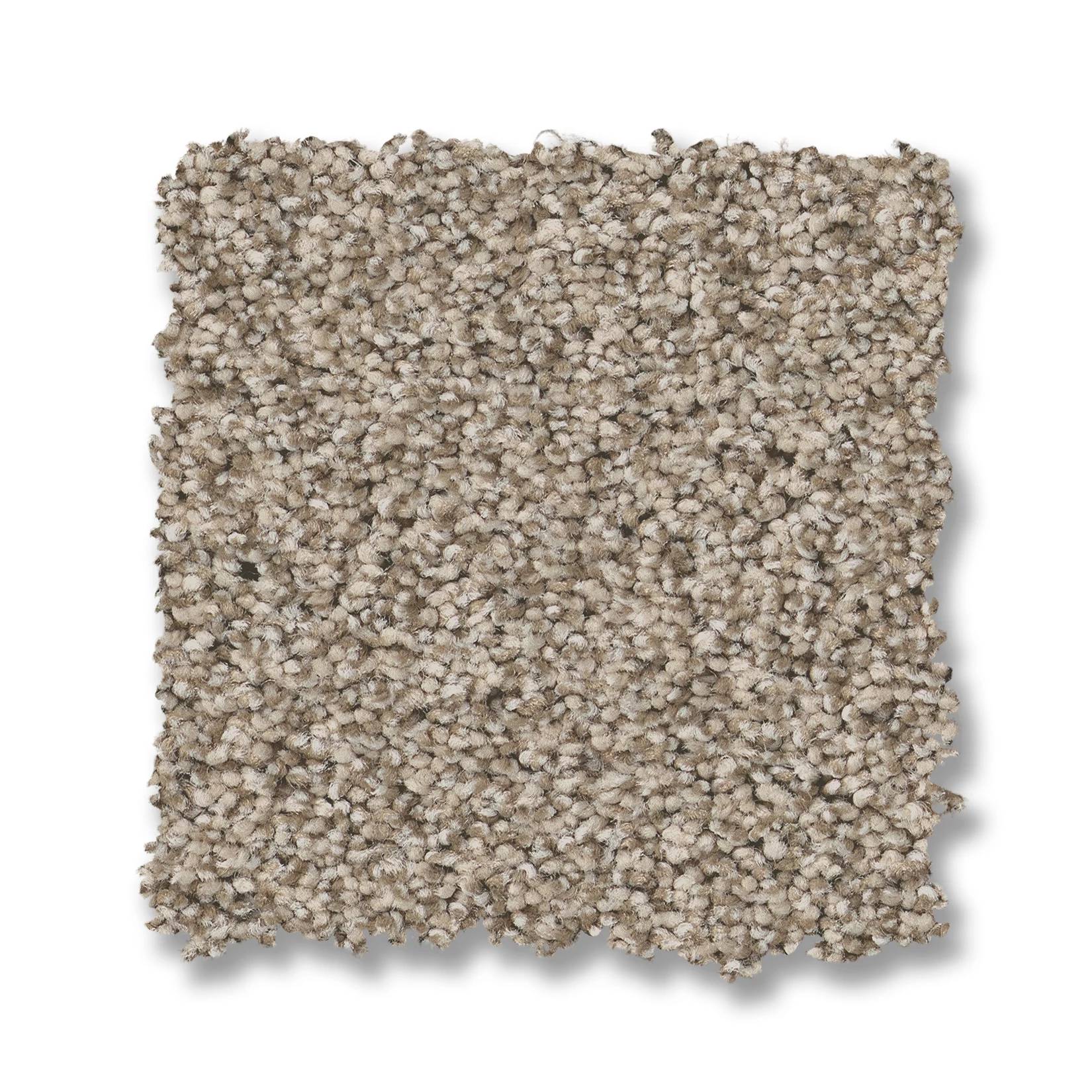 Fabulous Carpet - White Mocha Swatch Thumbnail pupop1