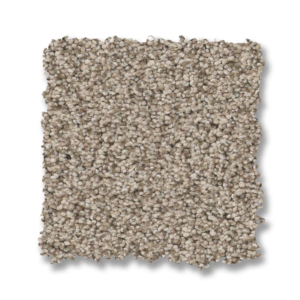 Fabulous Carpet - White Mocha  Swatch Image 