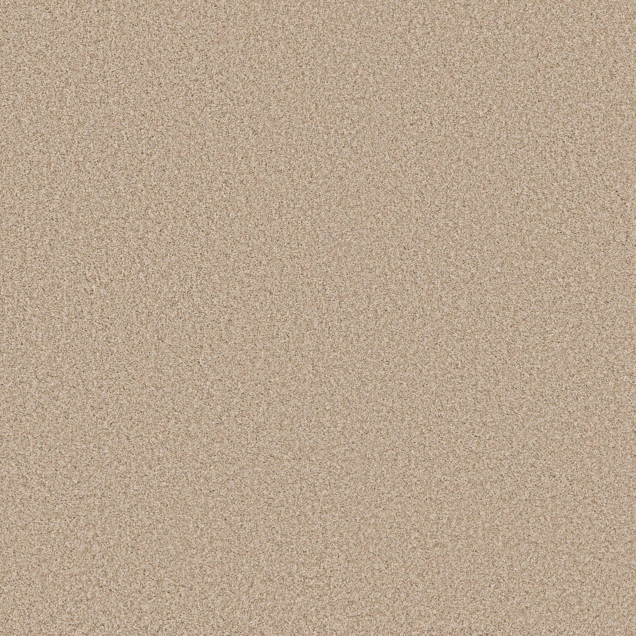 Fabulous Carpet - Down Home Zoomed Swatch Image