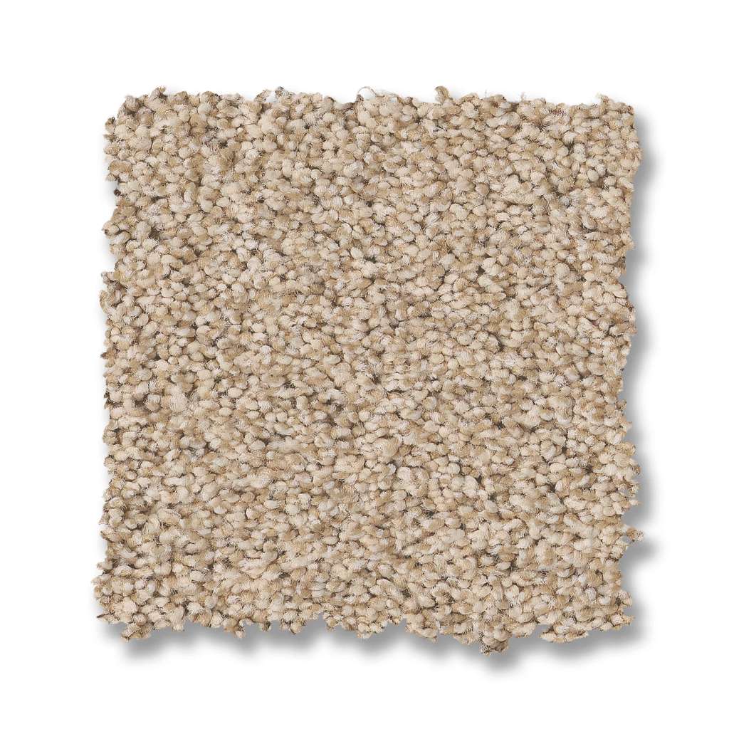 Fabulous Carpet - Down Home  Swatch Image 