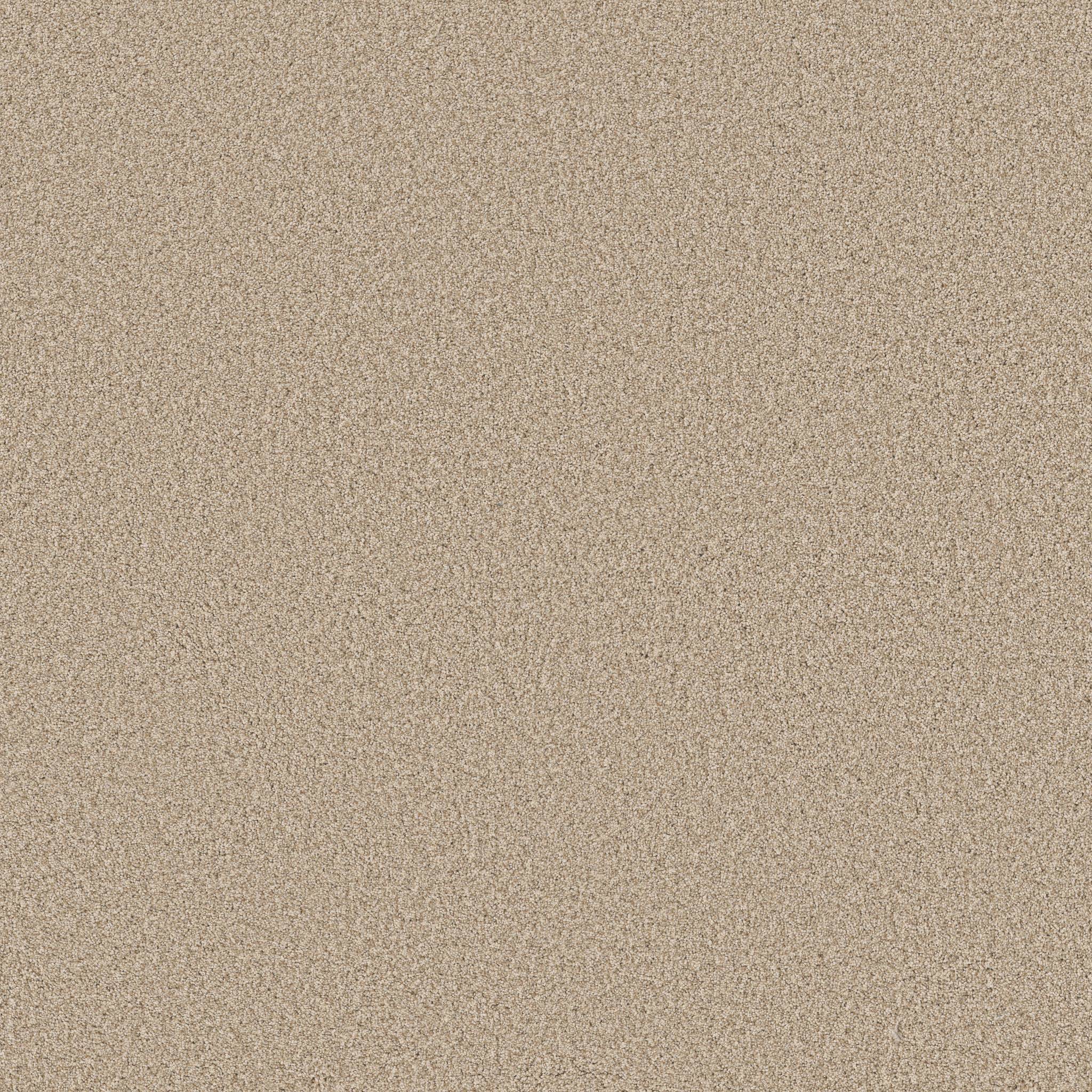 Fabulous Carpet - Utterly Beige Zoomed Swatch Image