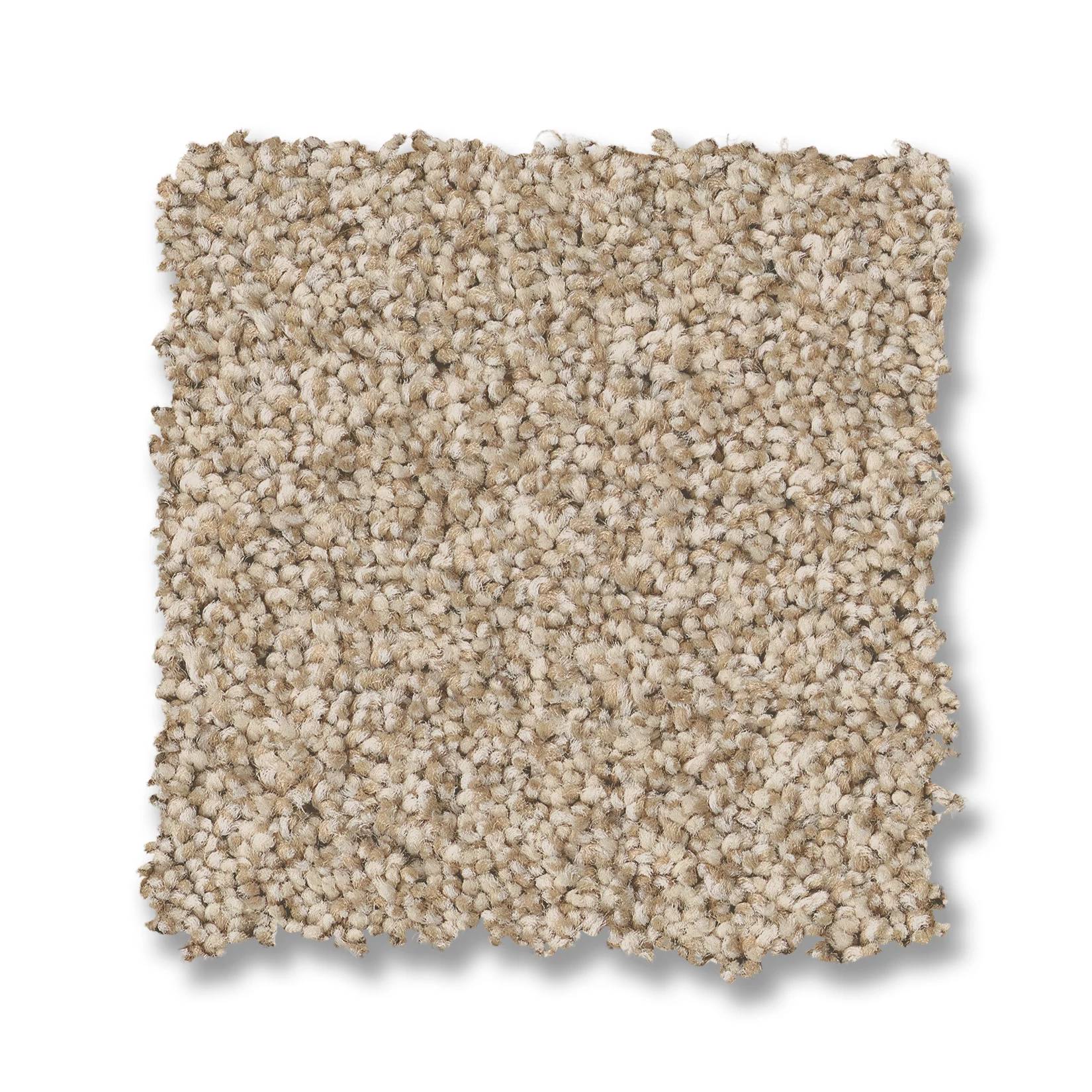 Fabulous Carpet - Utterly Beige Swatch Thumbnail pupop1