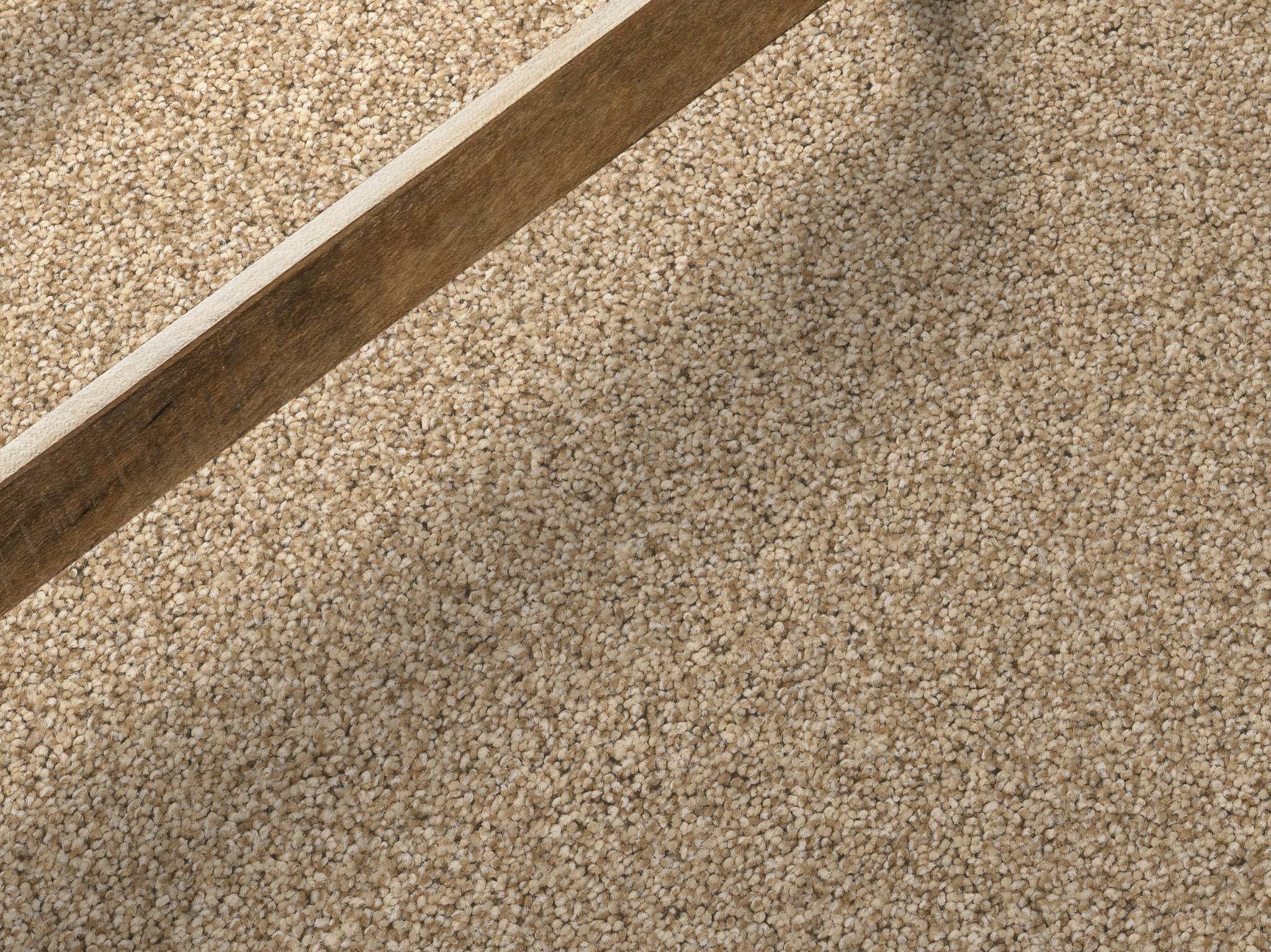 Style - Fabulous,  Color - GOLDEN - Room Scene