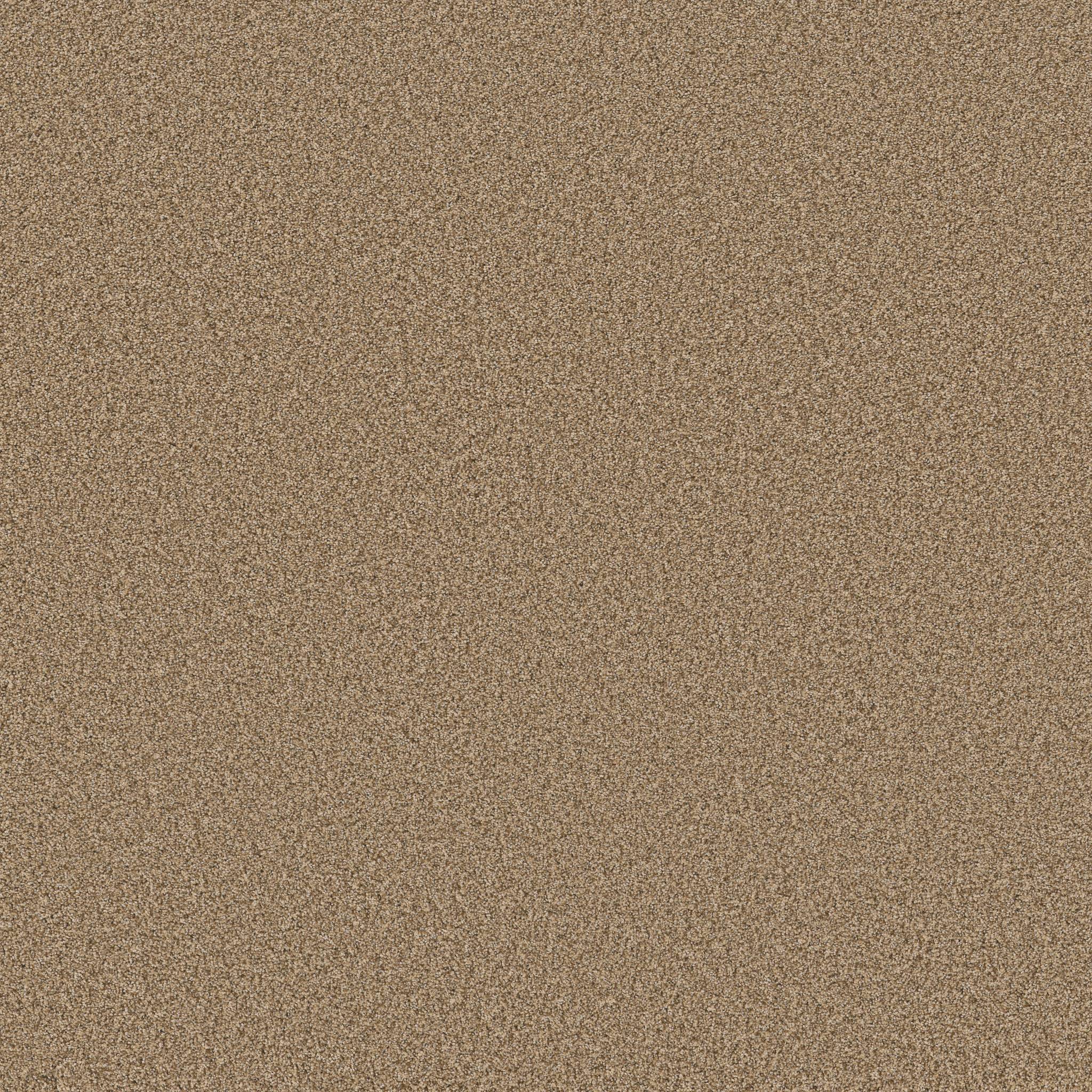 Fabulous Carpet - Powdered Gold Zoomed Swatch Image