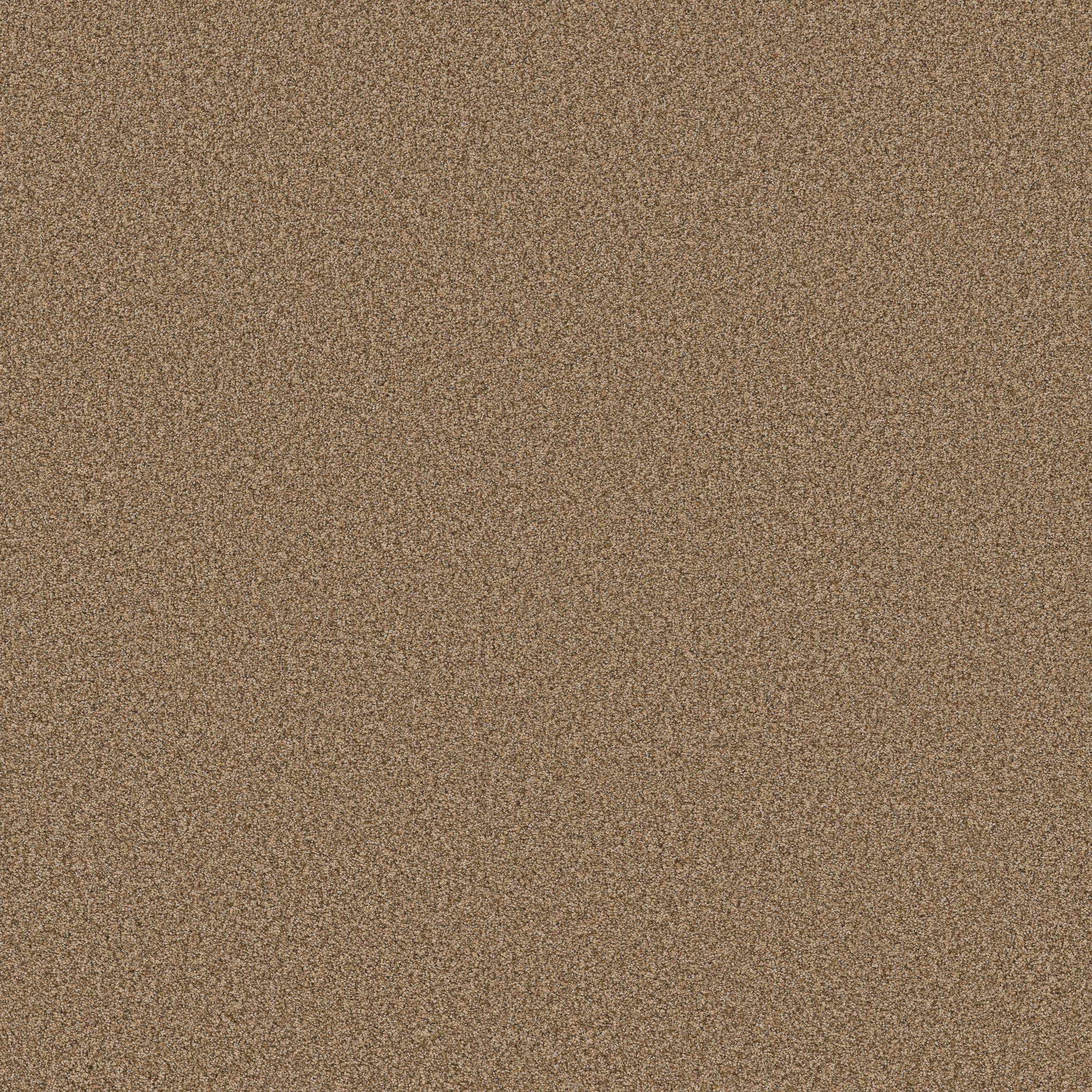 Fabulous Carpet - Toasty Zoomed Swatch Image