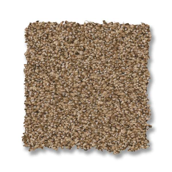 Style Fabulous Carpet - Toasty Swatch