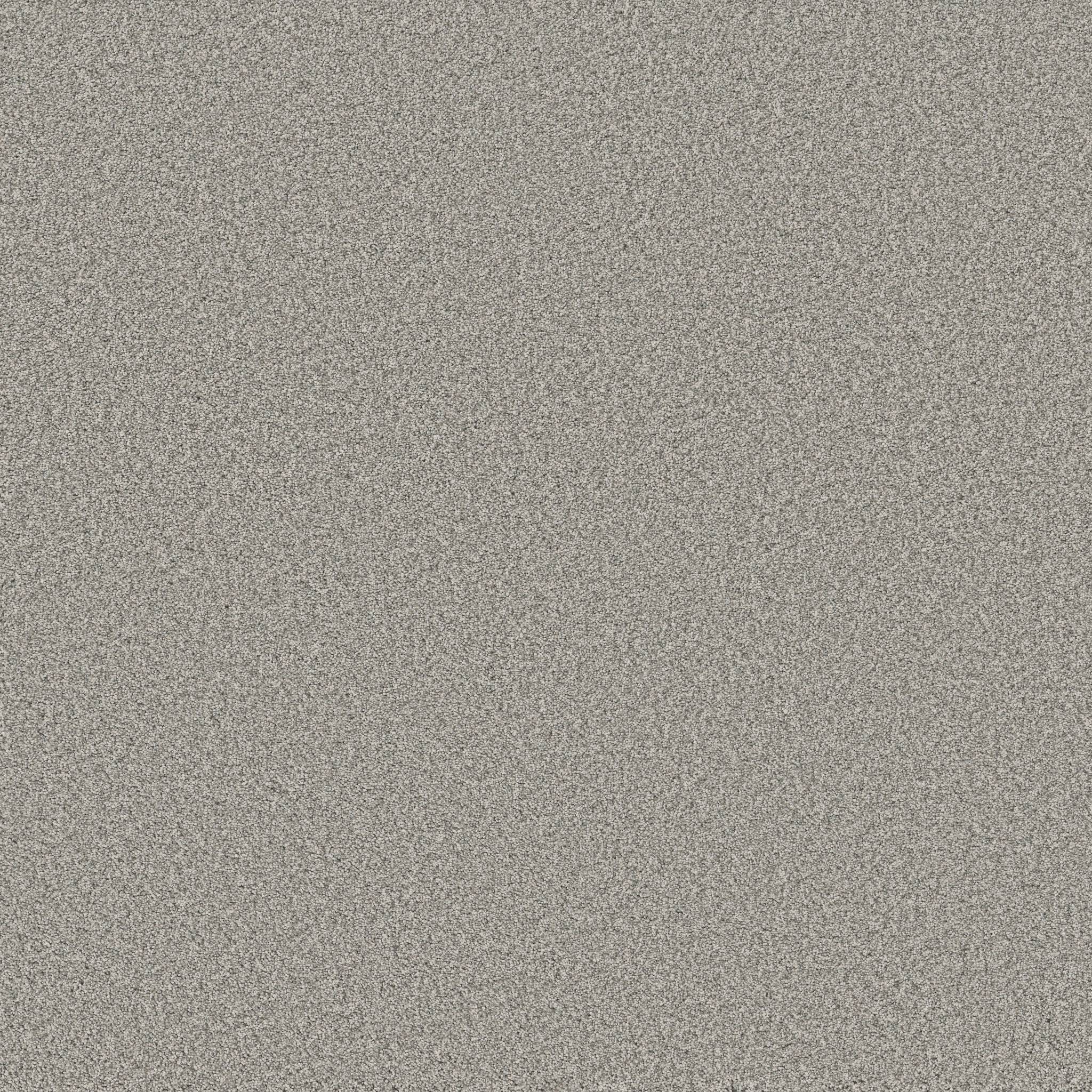 Fabulous Carpet - Platinum Zoomed Swatch Image