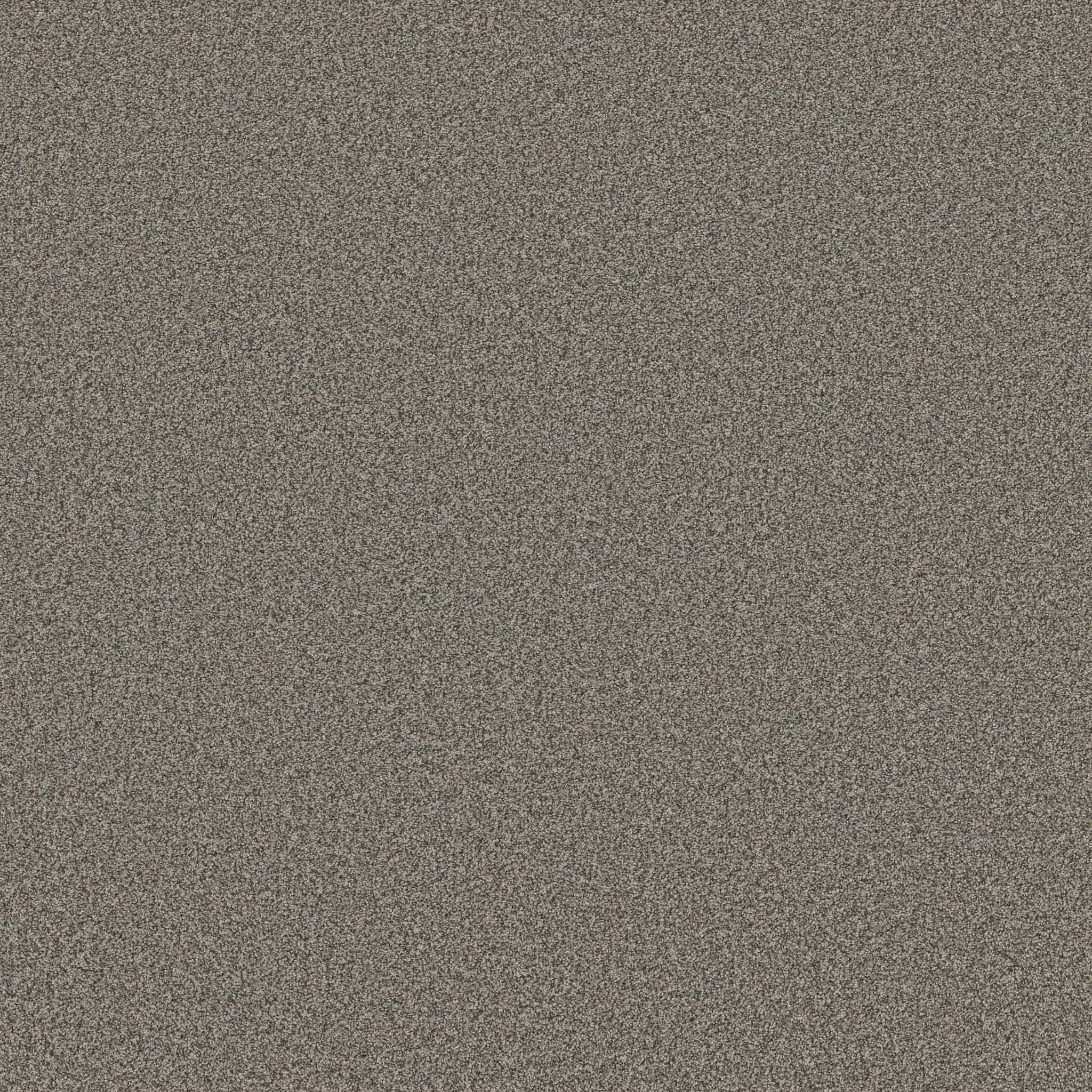 Fabulous Carpet - Flannel Gray Zoomed Swatch Image