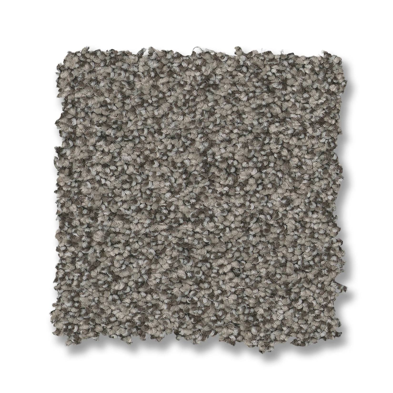 Fabulous Carpet - Flannel Gray Swatch Thumbnail pupop1