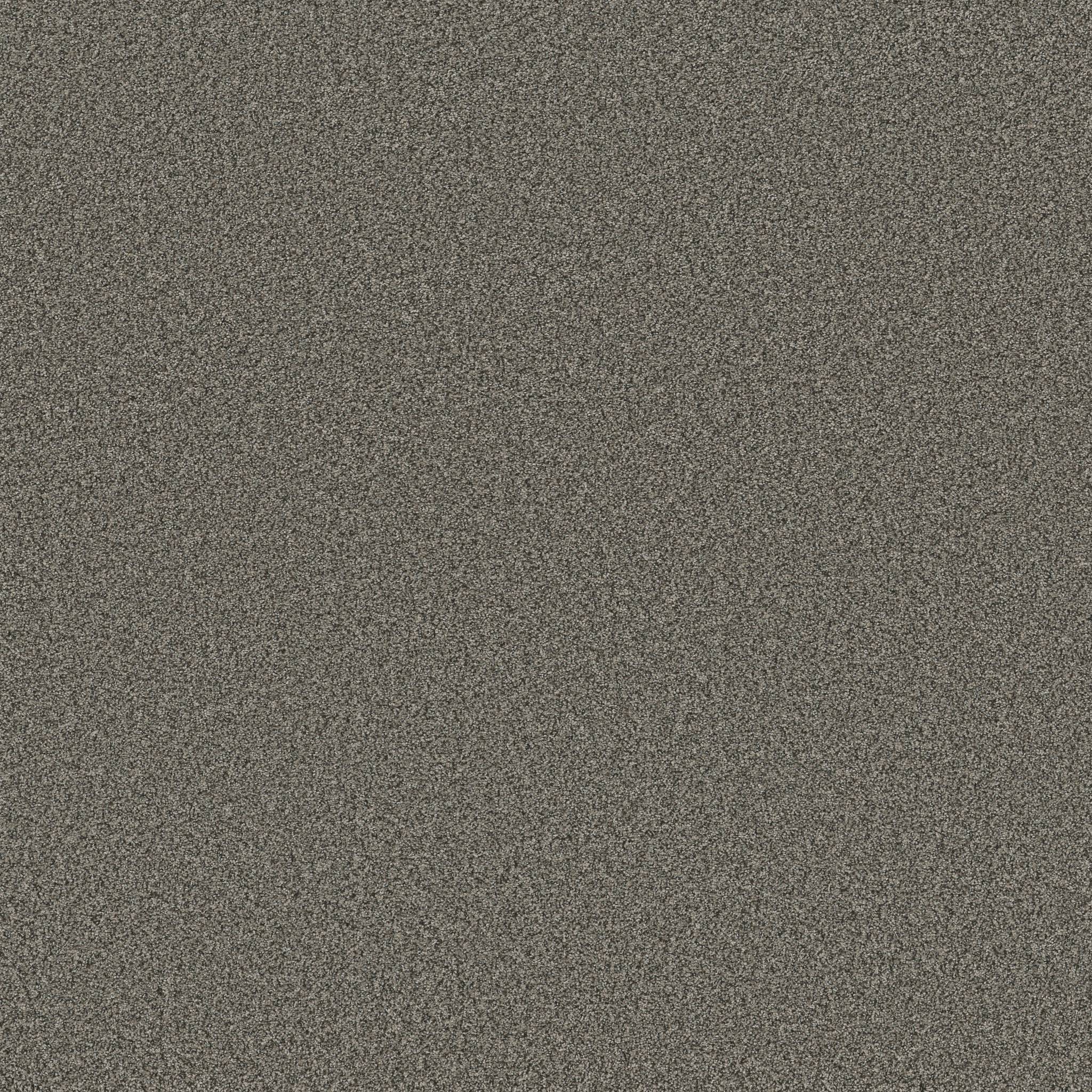 Fabulous Carpet - Asphalt Zoomed Swatch Image