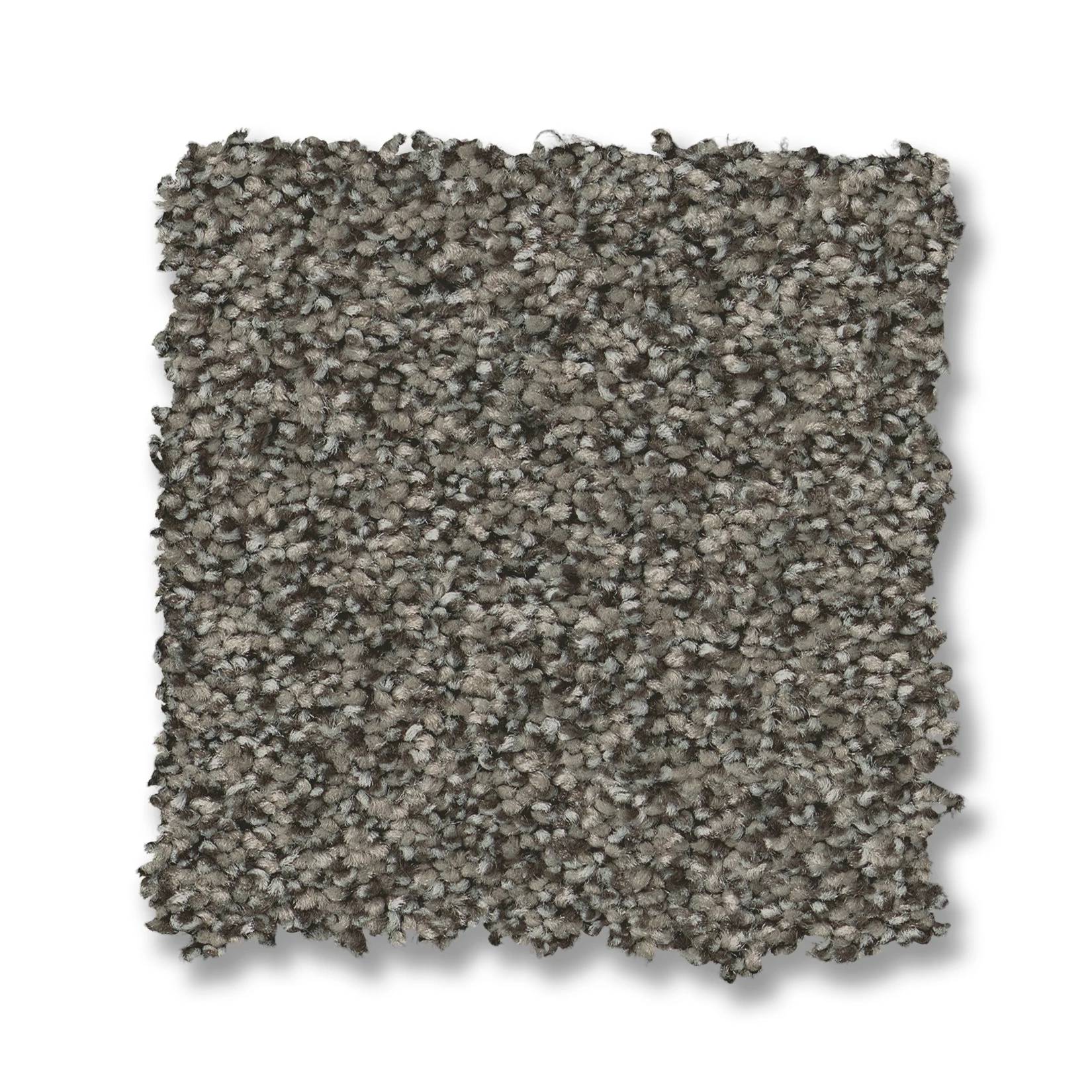 Fabulous Carpet - Asphalt Swatch Thumbnail pupop1