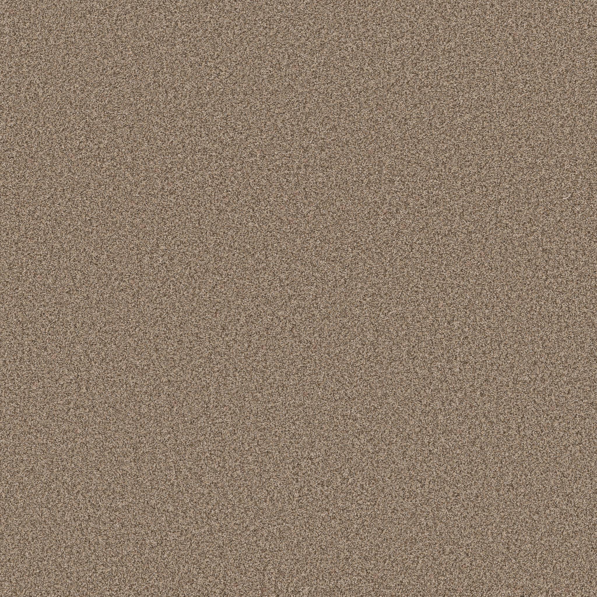 Fabulous Carpet - Distant Land Zoomed Swatch Image