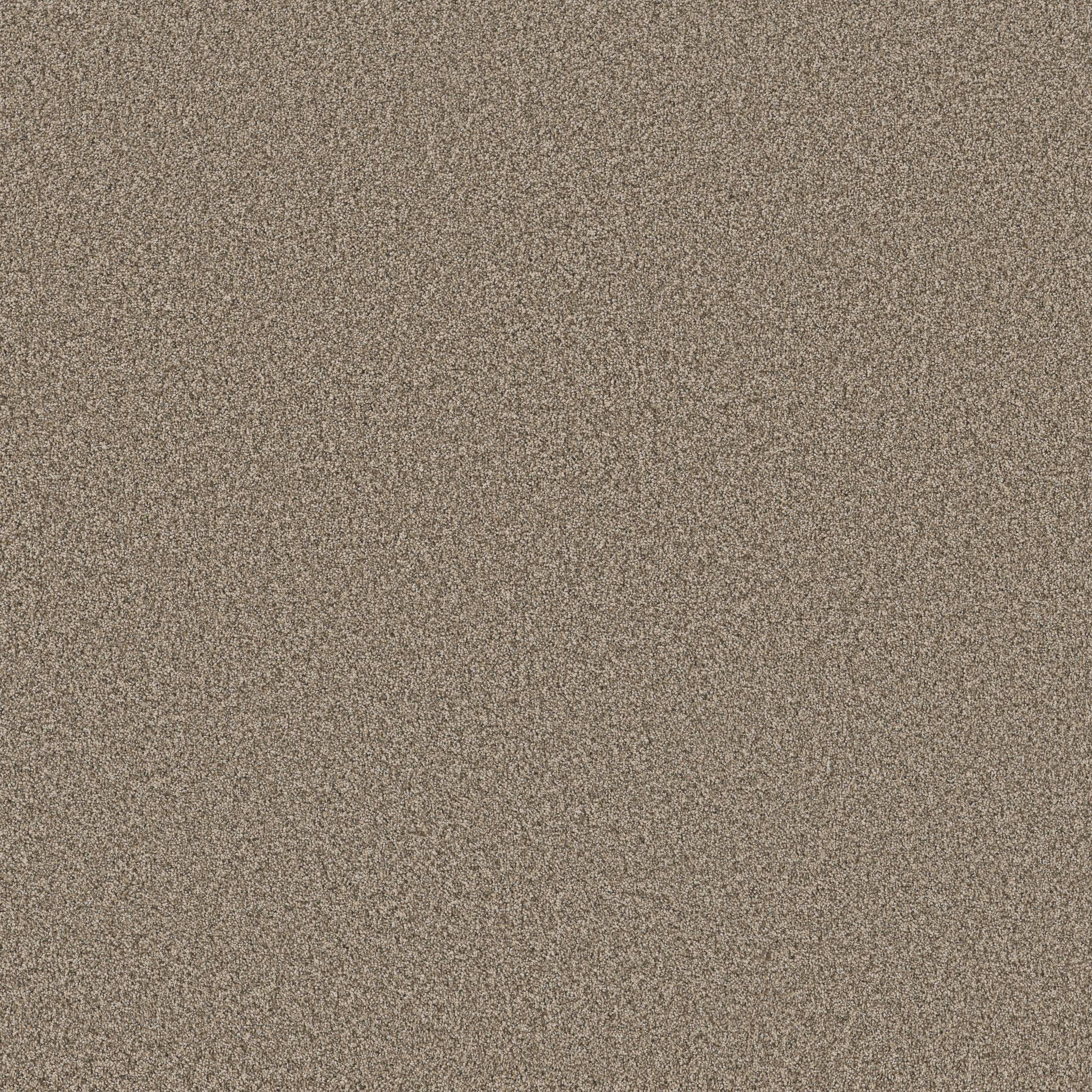 Fabulous Carpet - Chic Taupe Zoomed Swatch Image