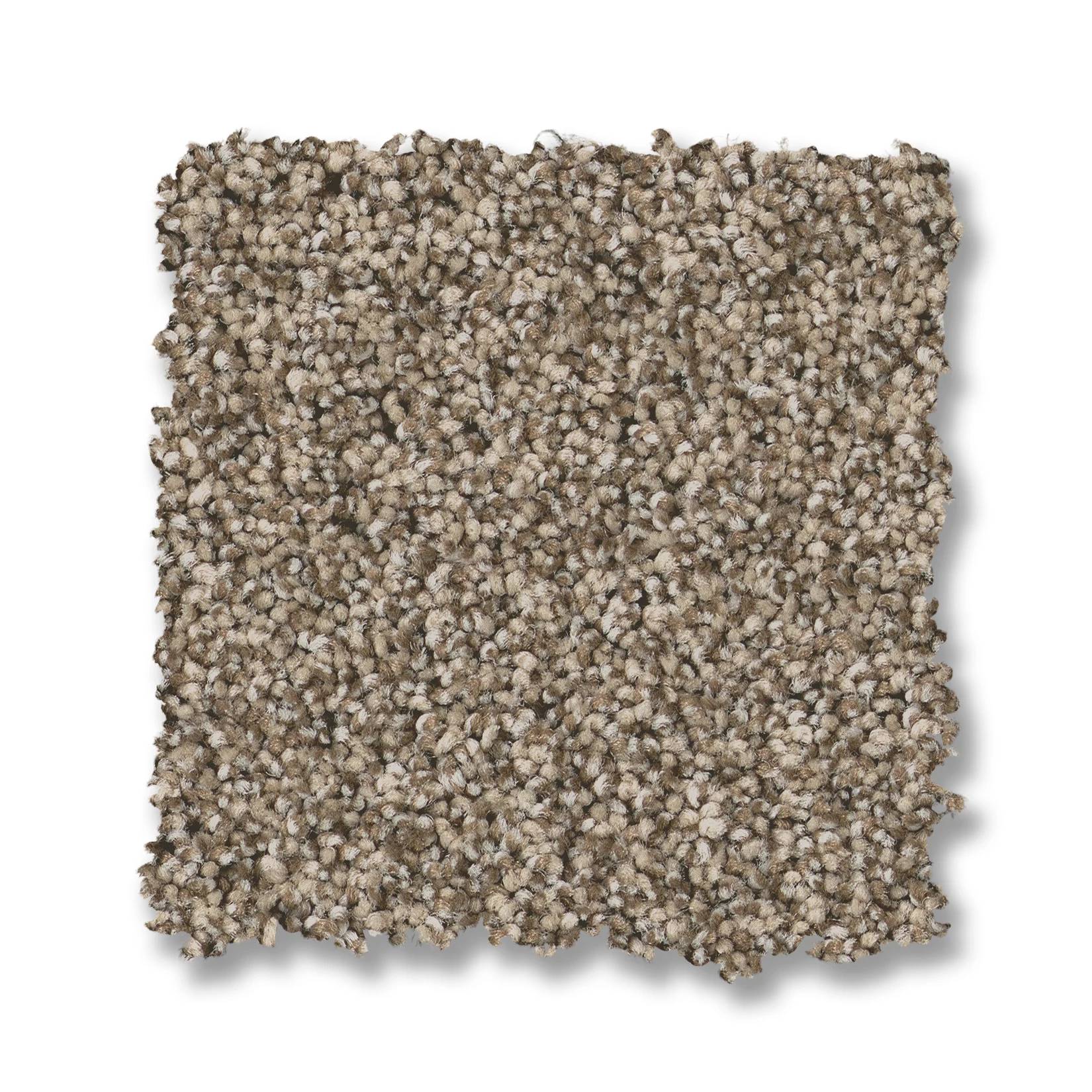 Fabulous Carpet - Chic Taupe Swatch Thumbnail pupop1