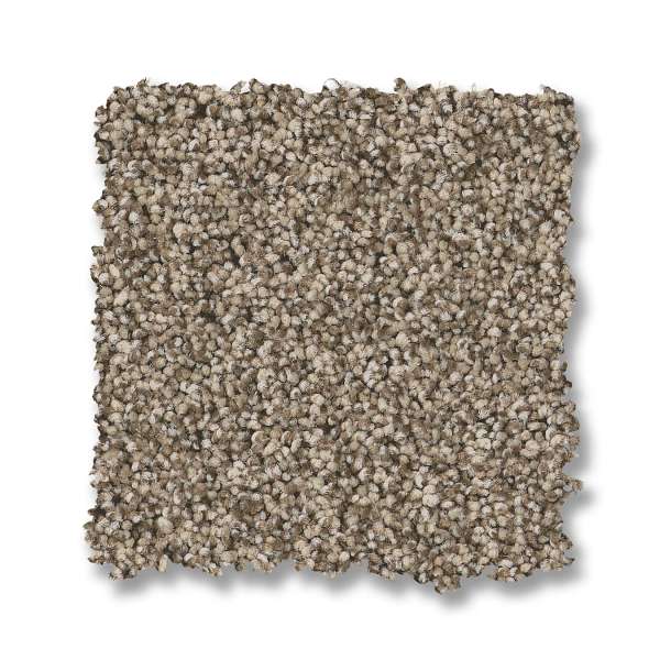 Style Fabulous Carpet - Chic Taupe Swatch