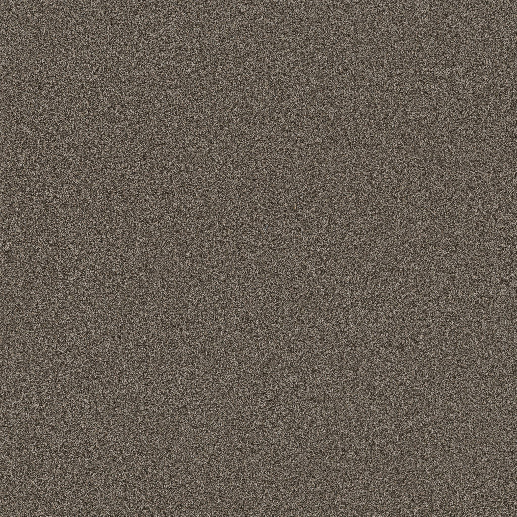 Fabulous Carpet - Sable Zoomed Swatch Image