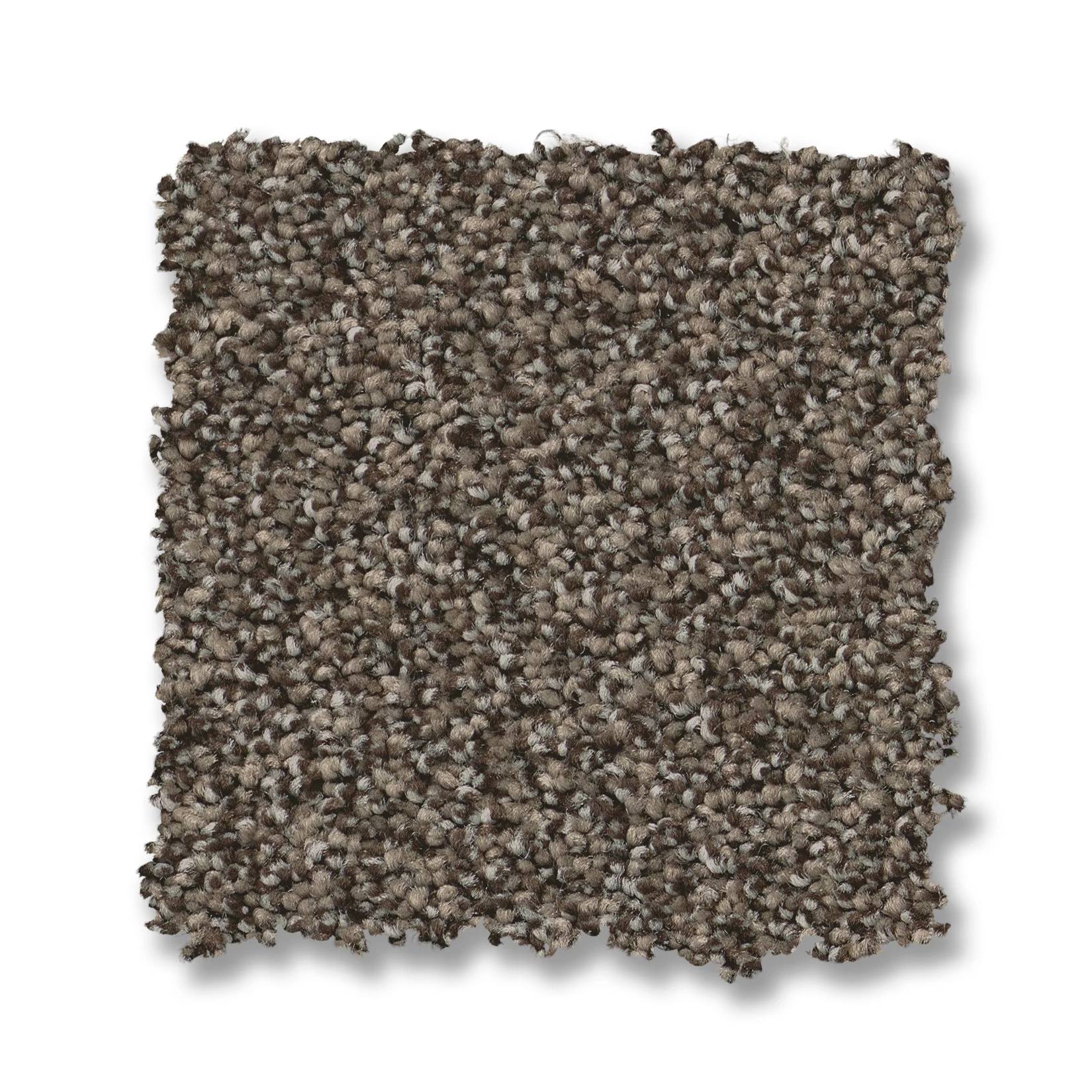 Fabulous Carpet - Sable Swatch Thumbnail pupop1