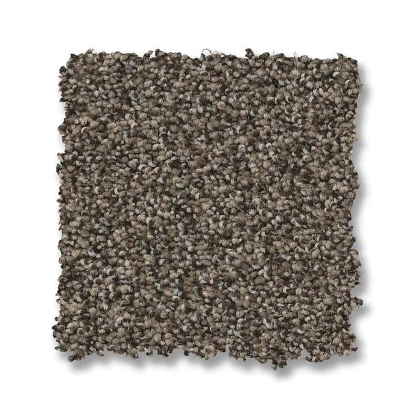 Style Fabulous Carpet - Sable Swatch