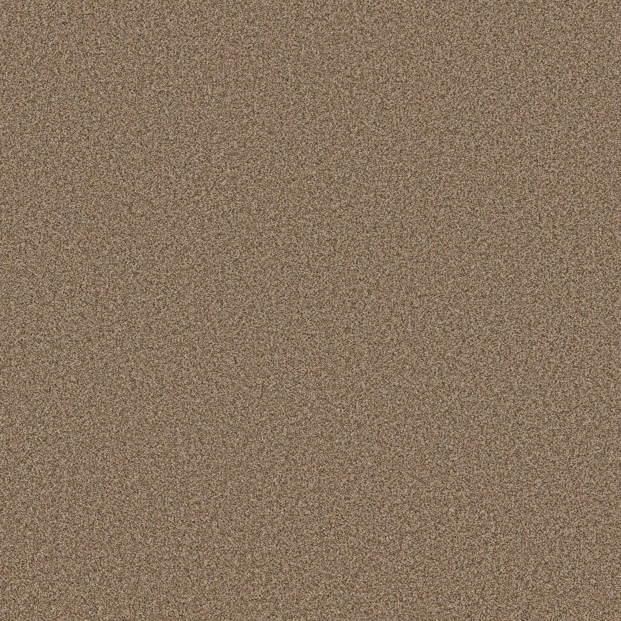 Fabulous Carpet - Toffee Zoomed Swatch Image