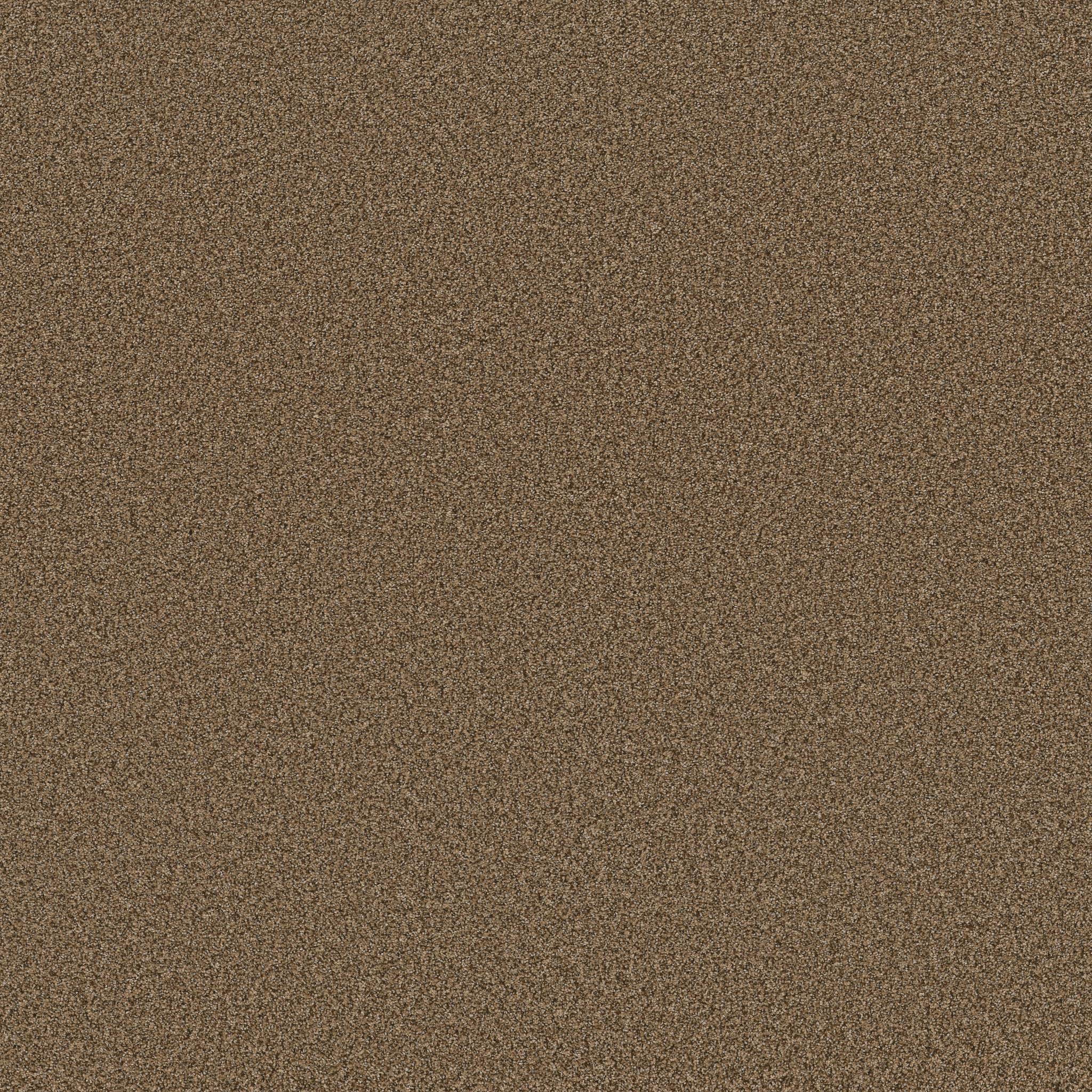 Fabulous Carpet - Nutshell Zoomed Swatch Image