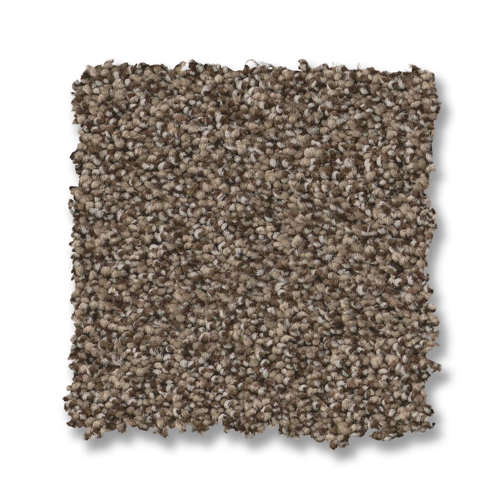 Fabulous Carpet - Smokehouse Swatch Thumbnail pupop1