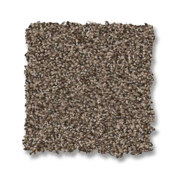 Style Fabulous Carpet - Smokehouse Swatch