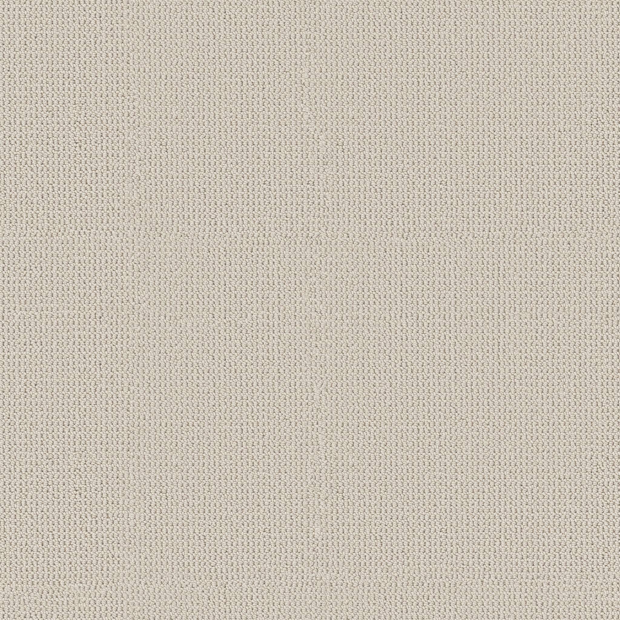 Arden Park Carpet - Froth Zoomed Swatch Image