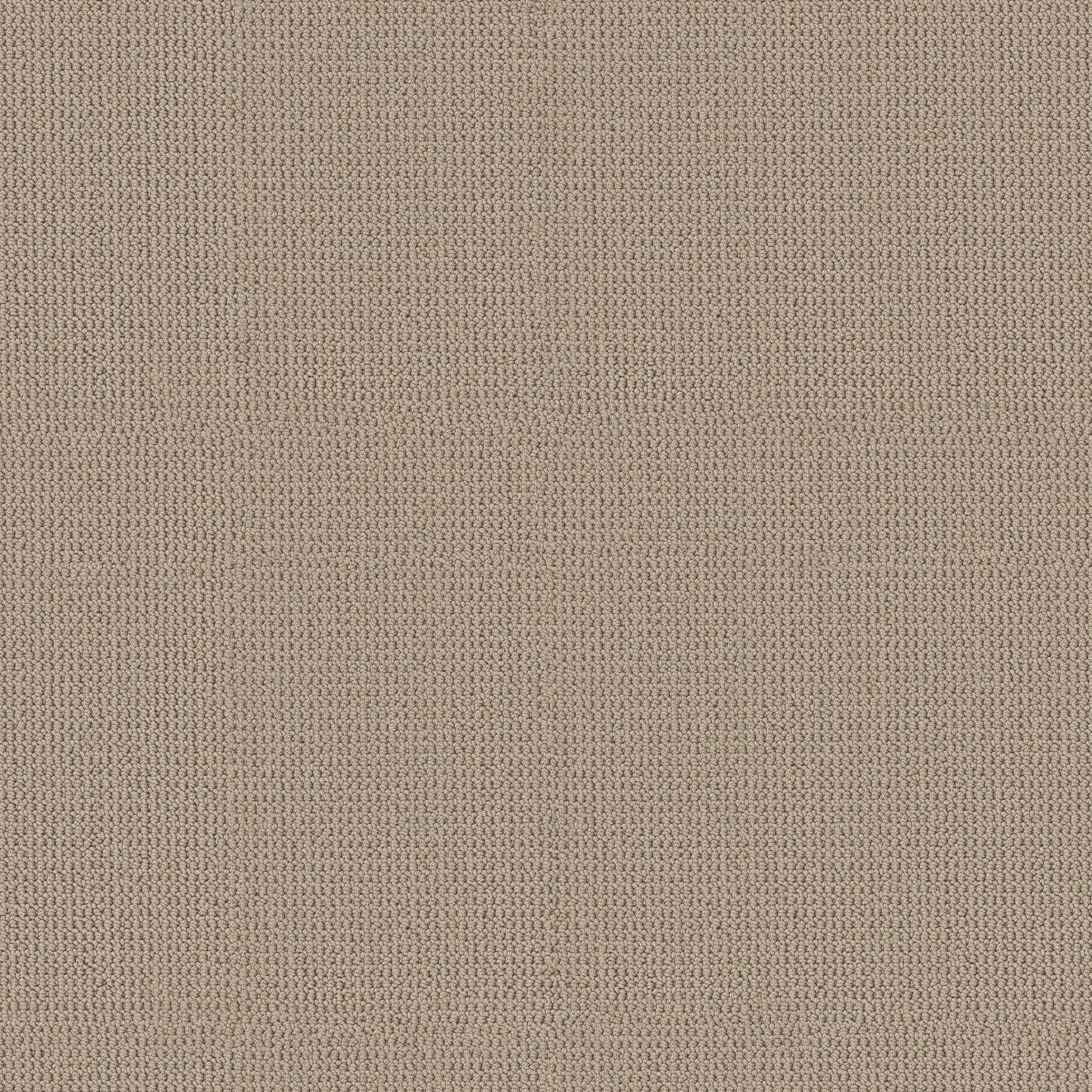 Arden Park Carpet - Sandstorm Zoomed Swatch Image