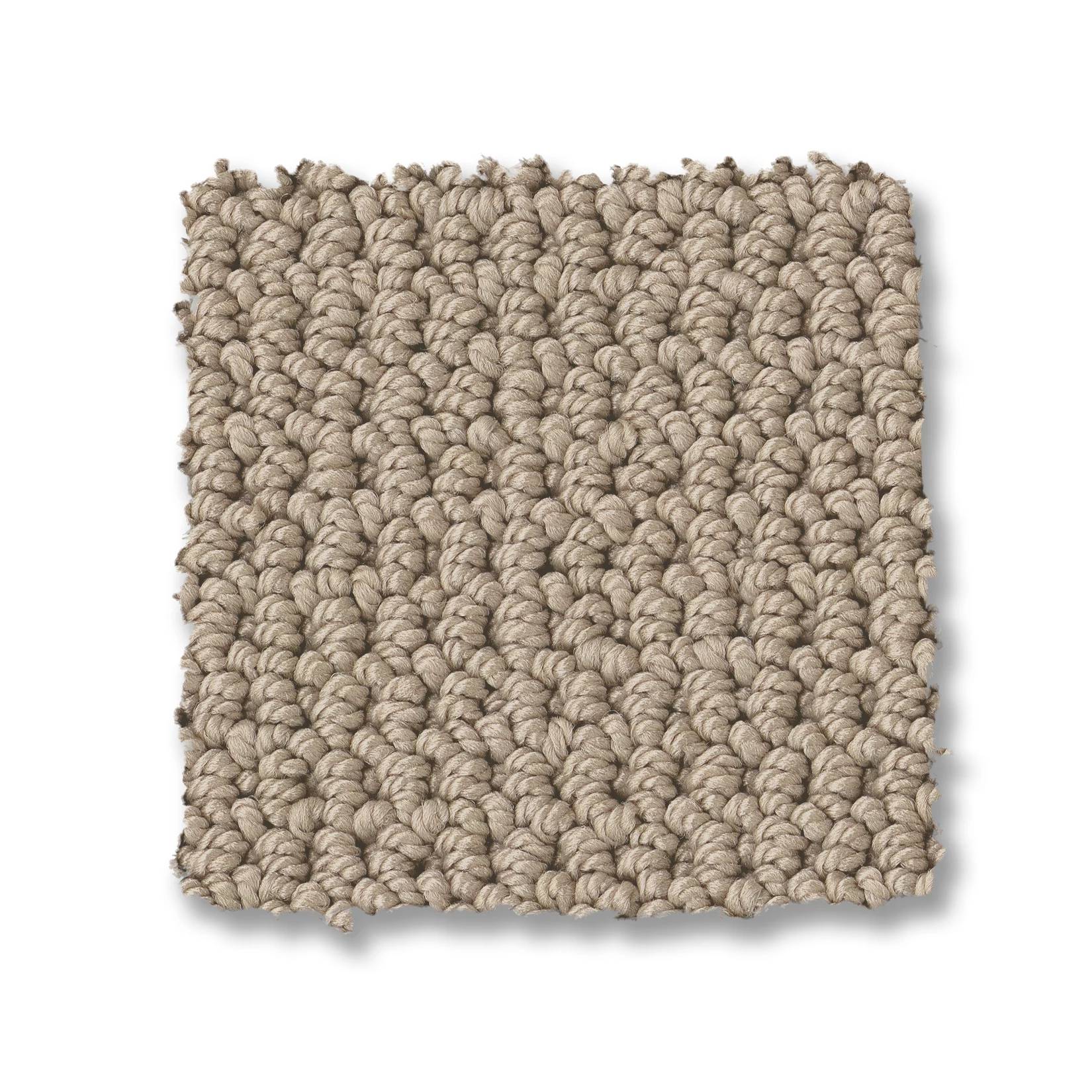 Arden Park Carpet - Sandstorm Swatch Thumbnail pupop1
