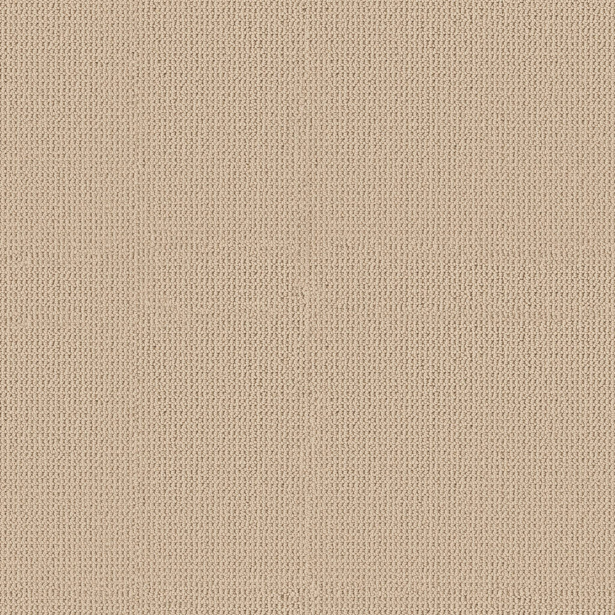 Arden Park Carpet - Gelato Zoomed Swatch Image