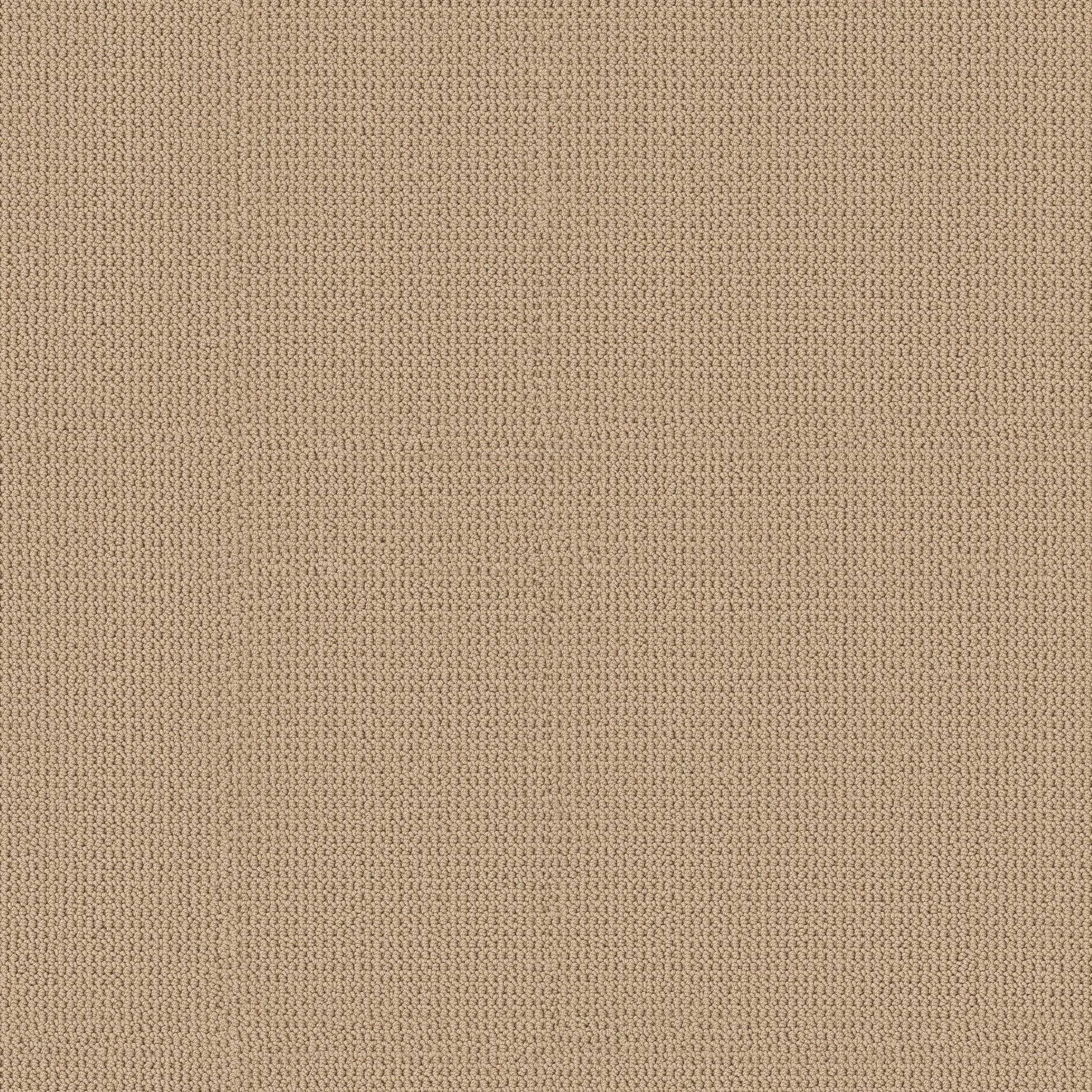 Arden Park Carpet - Powdered Gold Zoomed Swatch Image