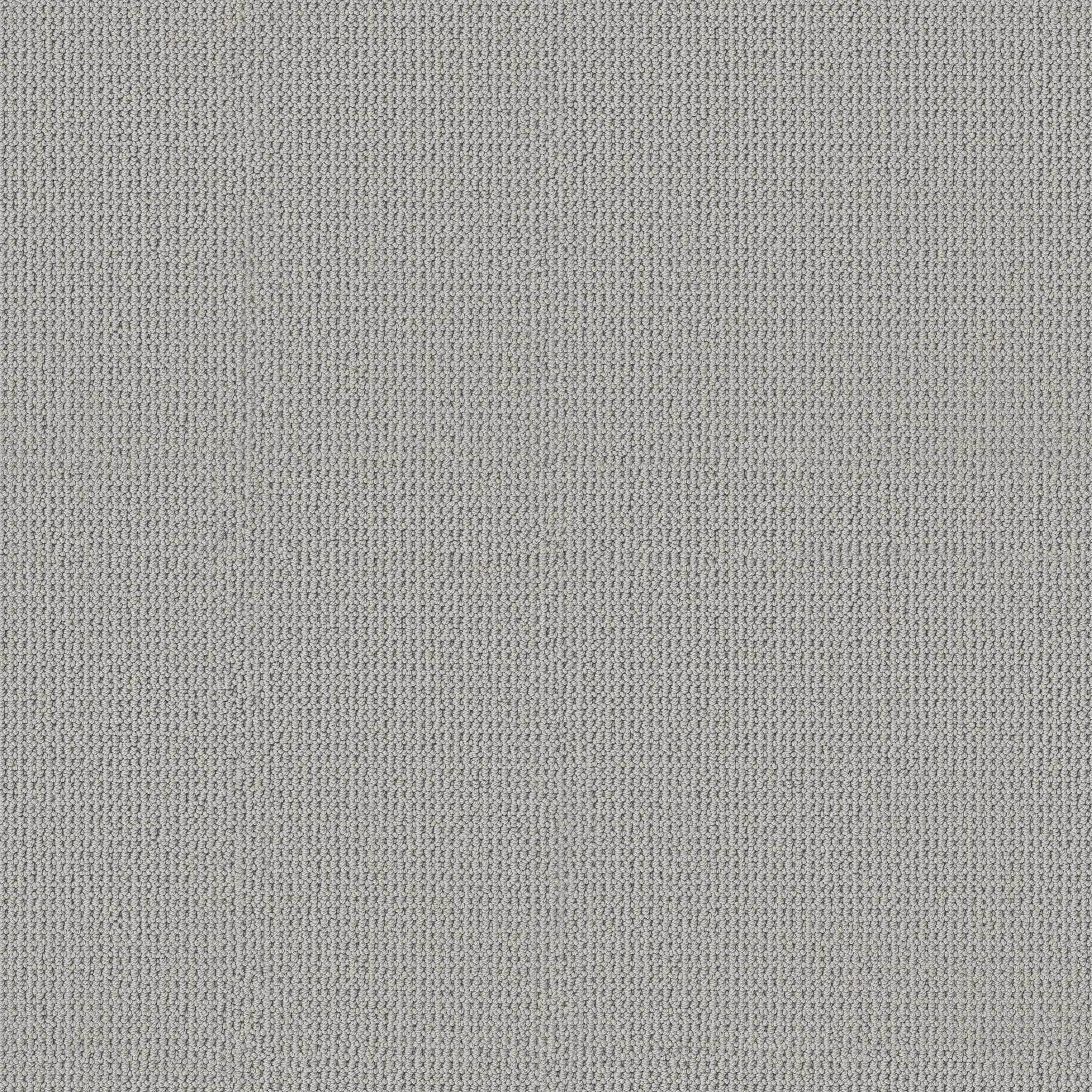 Arden Park Carpet - Lunar Zoomed Swatch Image