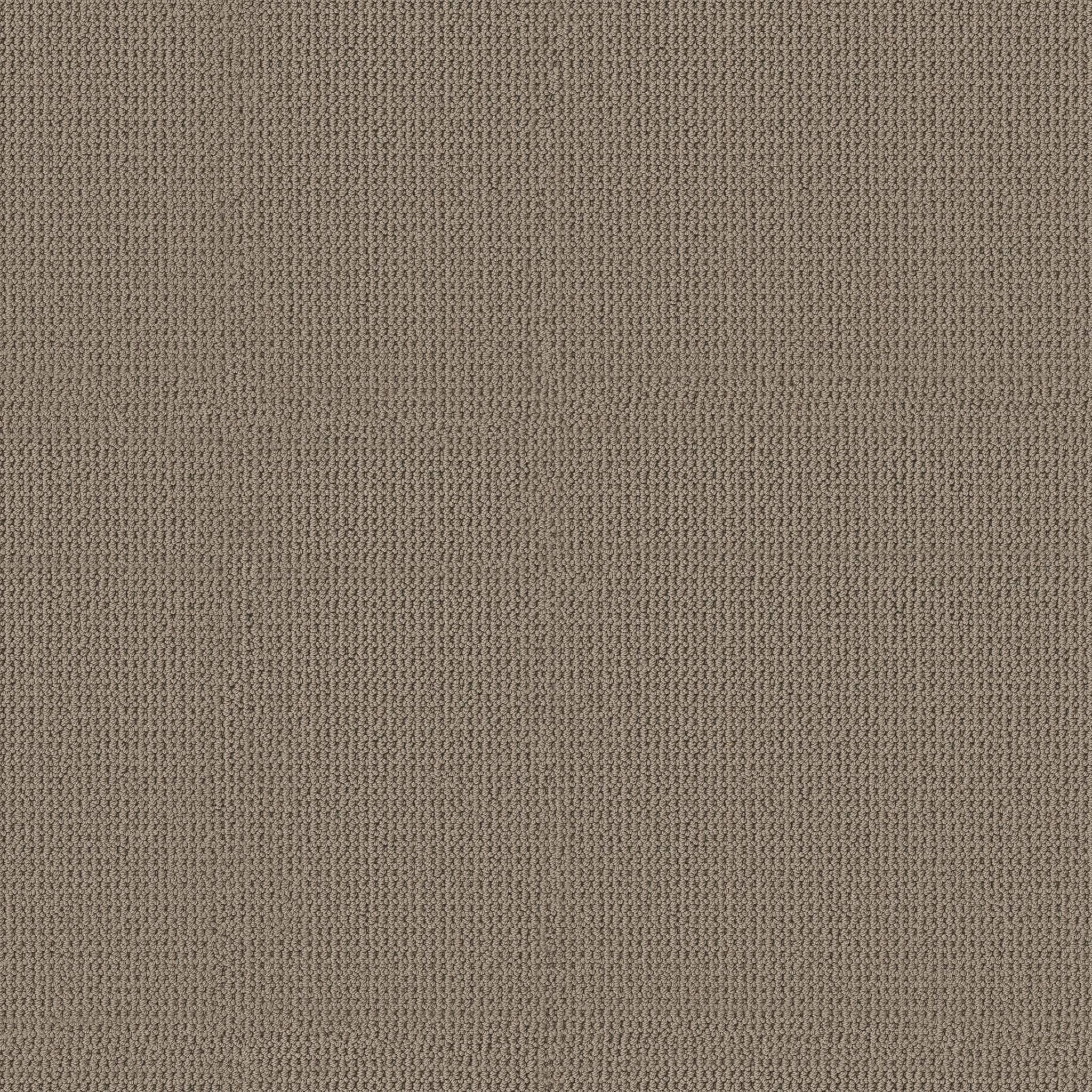 Arden Park Carpet - Taupe Gray Zoomed Swatch Image