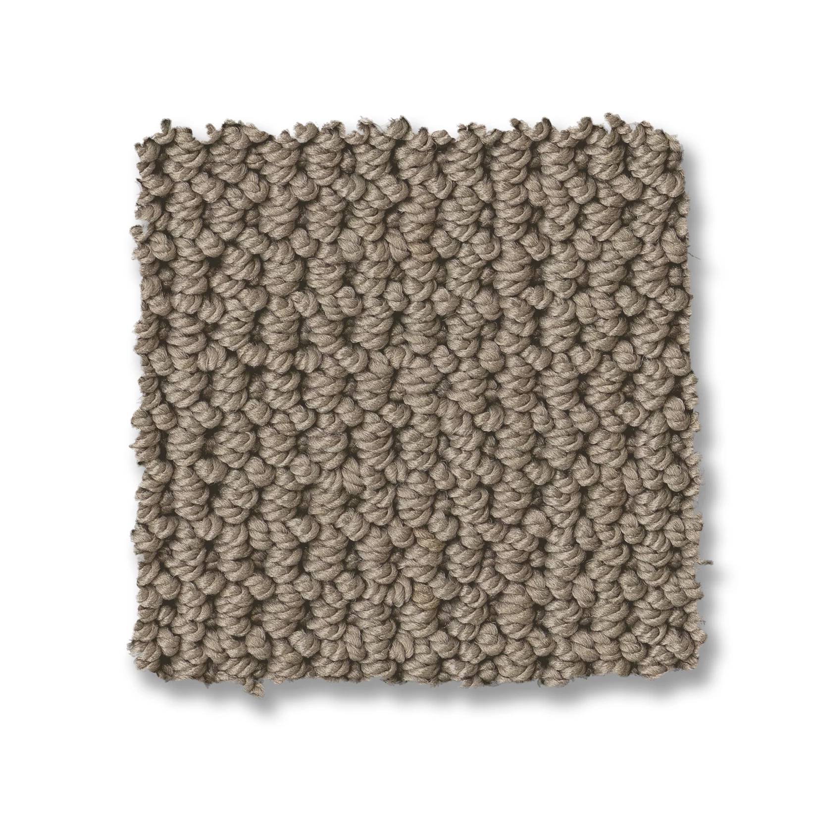 Arden Park Carpet - Taupe Gray Swatch Thumbnail pupop1