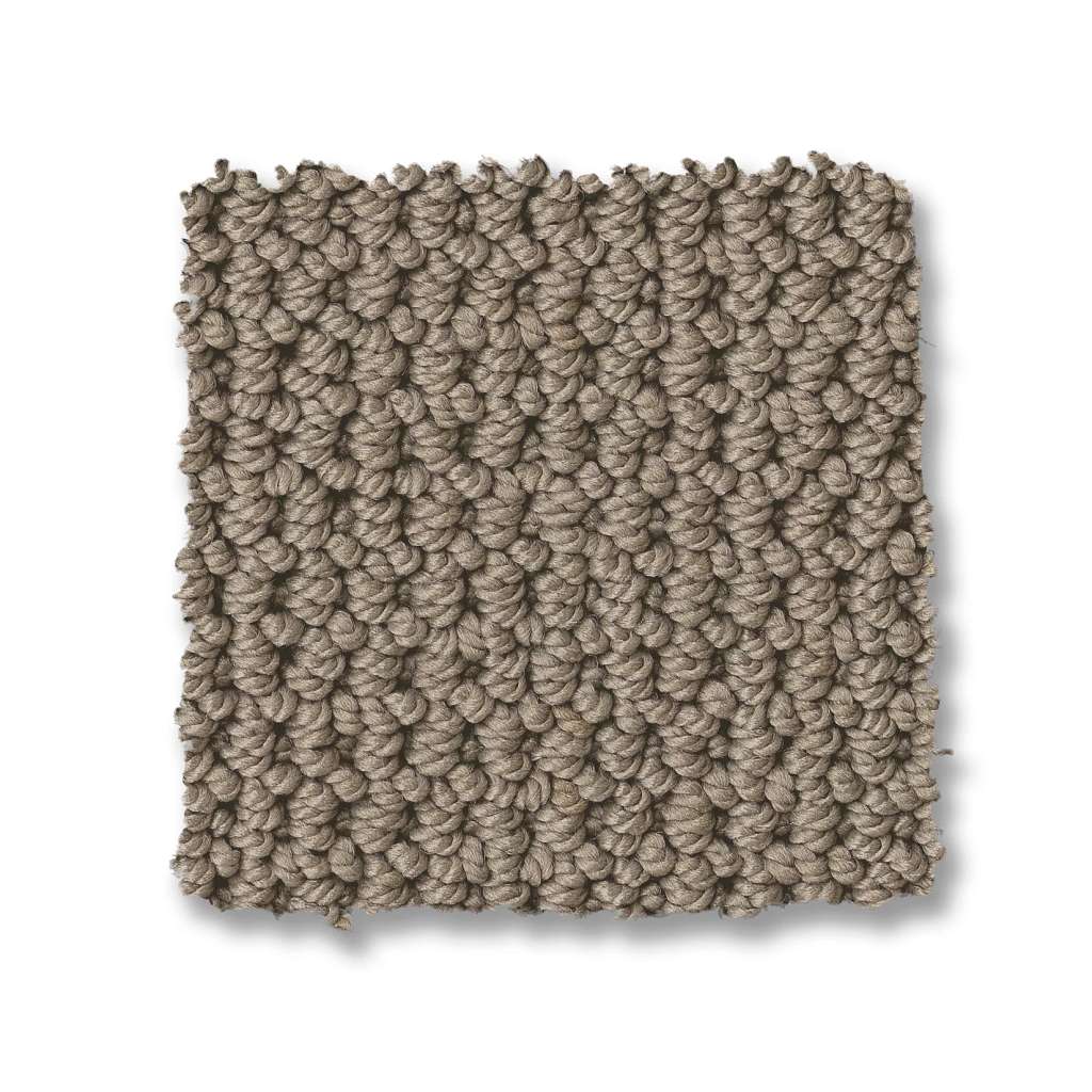 Arden Park Carpet - Taupe Gray  Swatch Image 