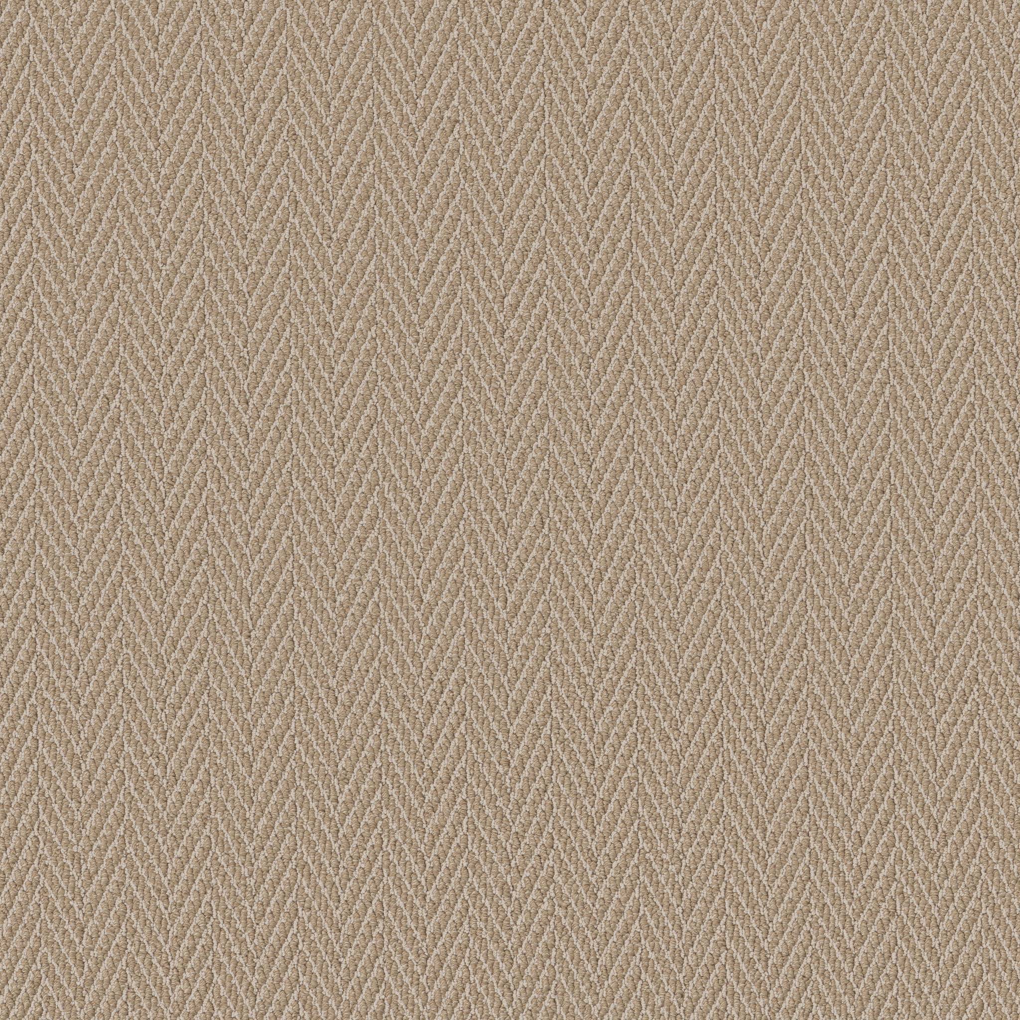 Always Natural Carpet - Cork Zoomed Swatch Image